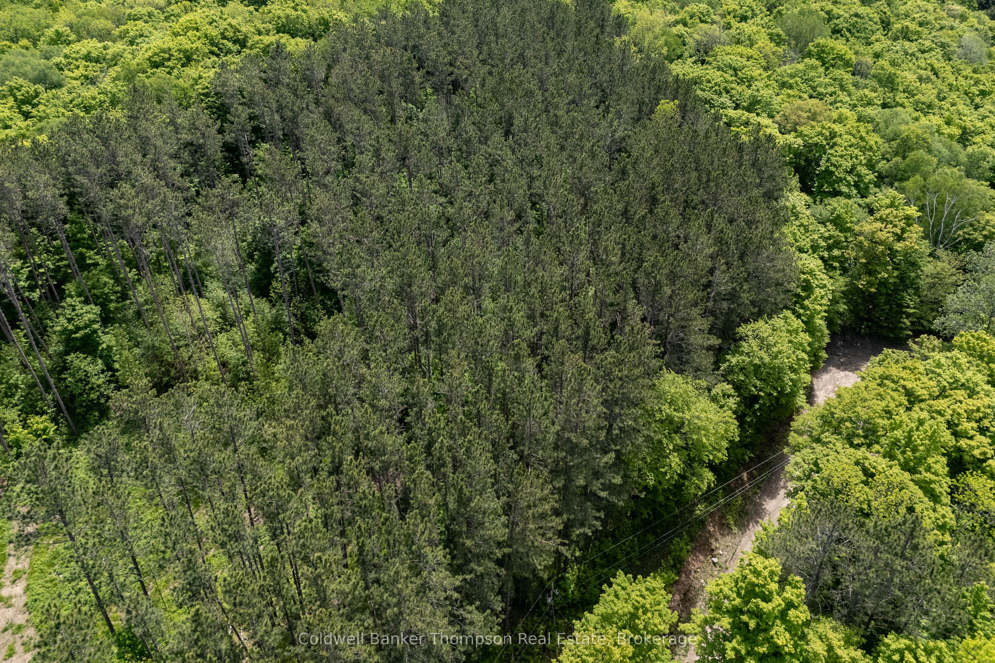 00 Snowshoe Lane Property Photo 10