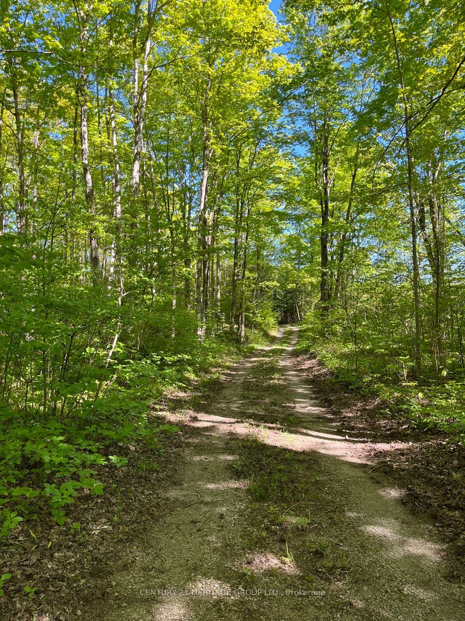 580223 Sideroad 60 Property Photo 3