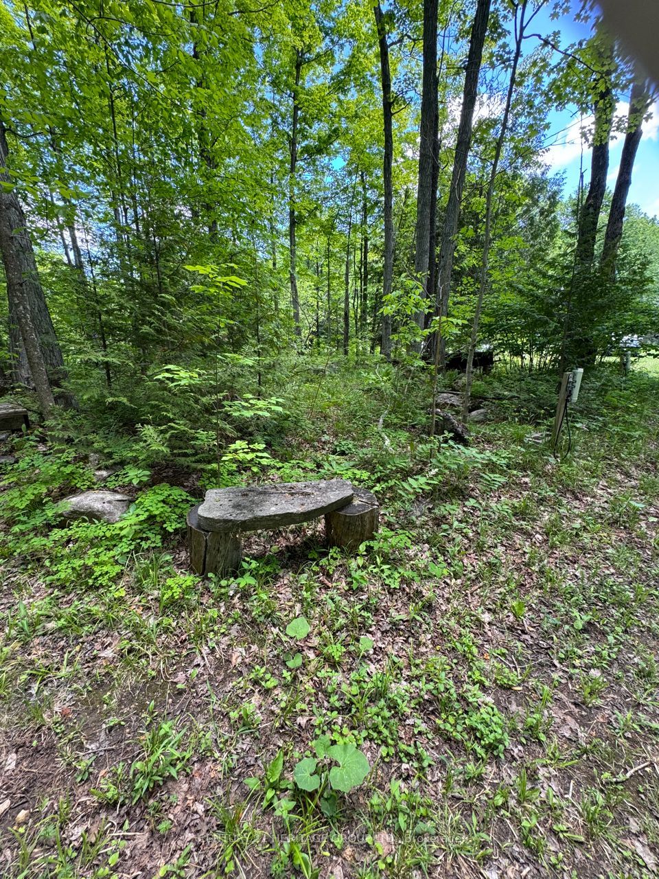 580223 Sideroad 60 Property Photo 4