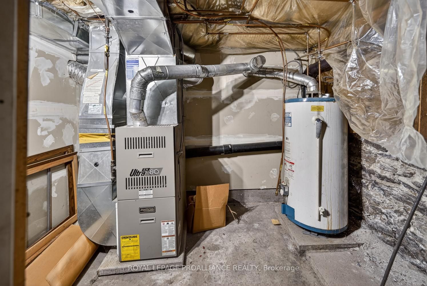 58 Abbott Street Property Photo 18