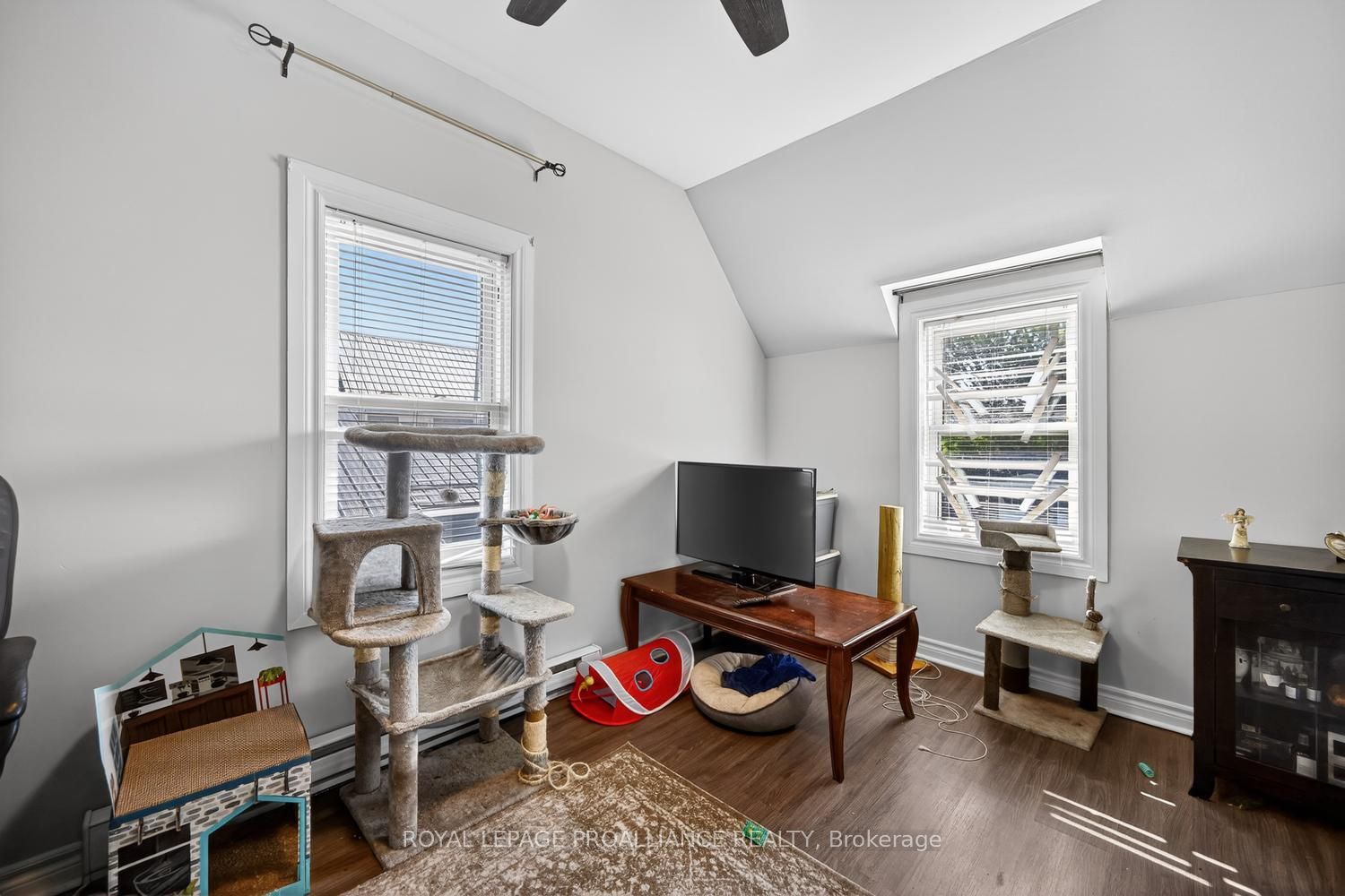 58 Abbott Street Property Photo 21