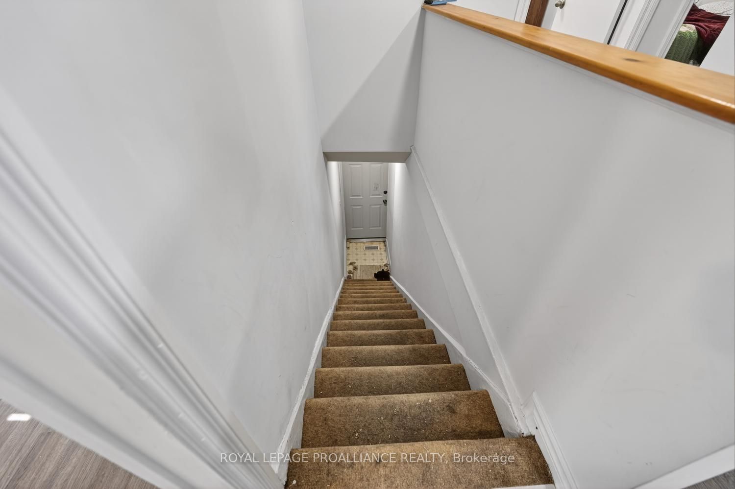 58 Abbott Street Property Photo 23