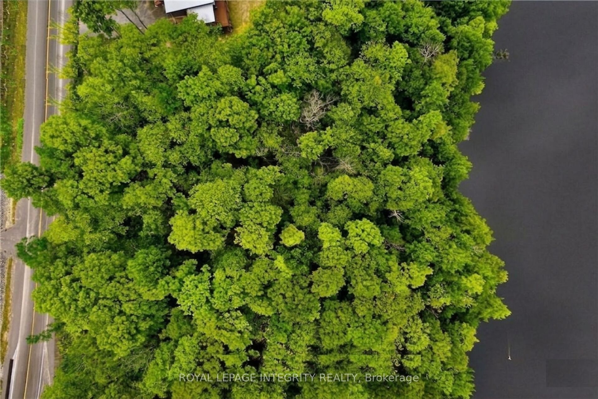131 Shady Maple Road Property Photo 8