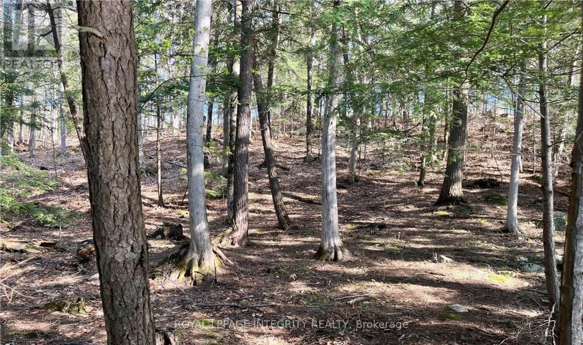 131 Shady Maple Road Property Photo 11