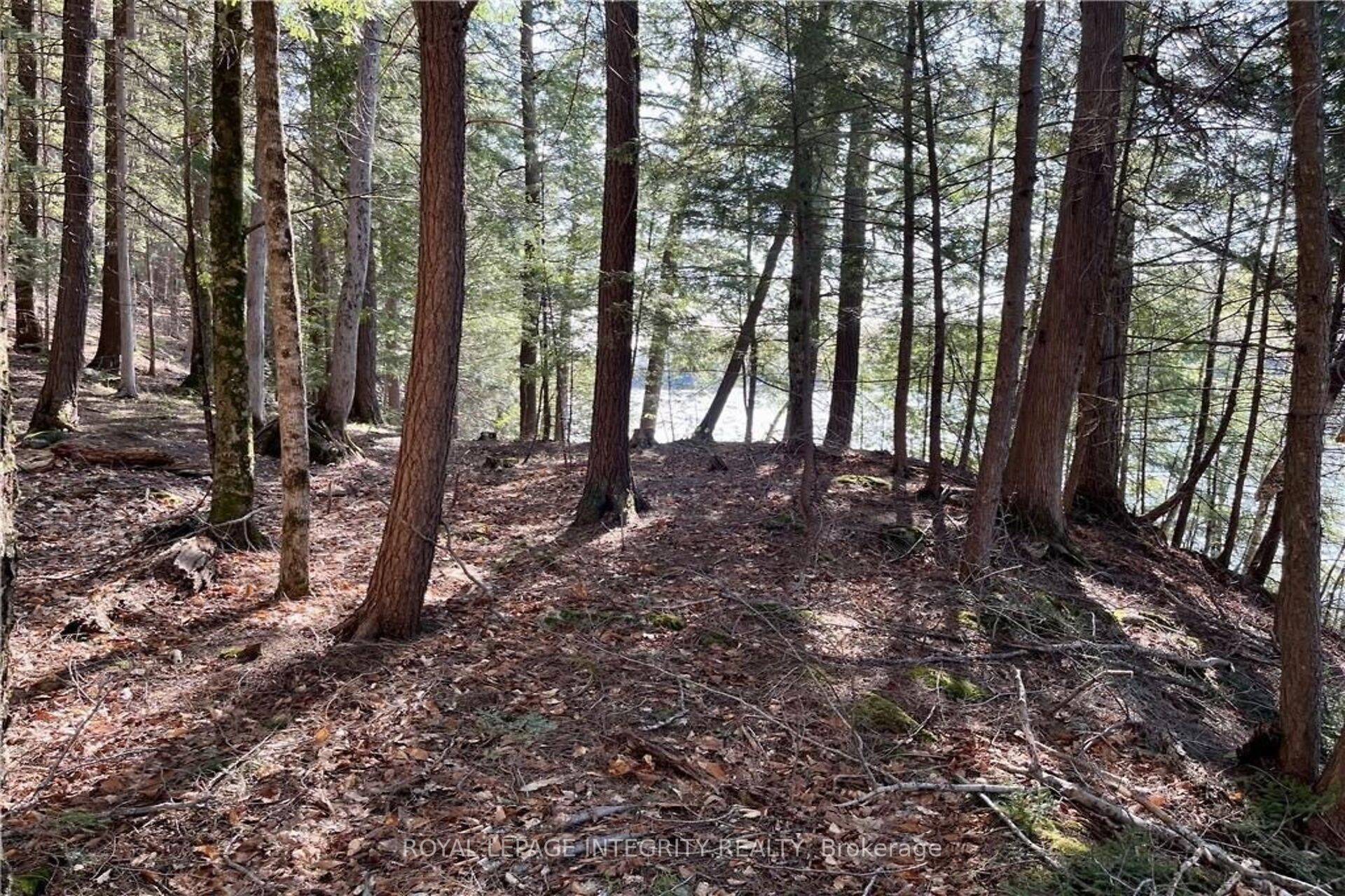 131 Shady Maple Road Property Photo 12