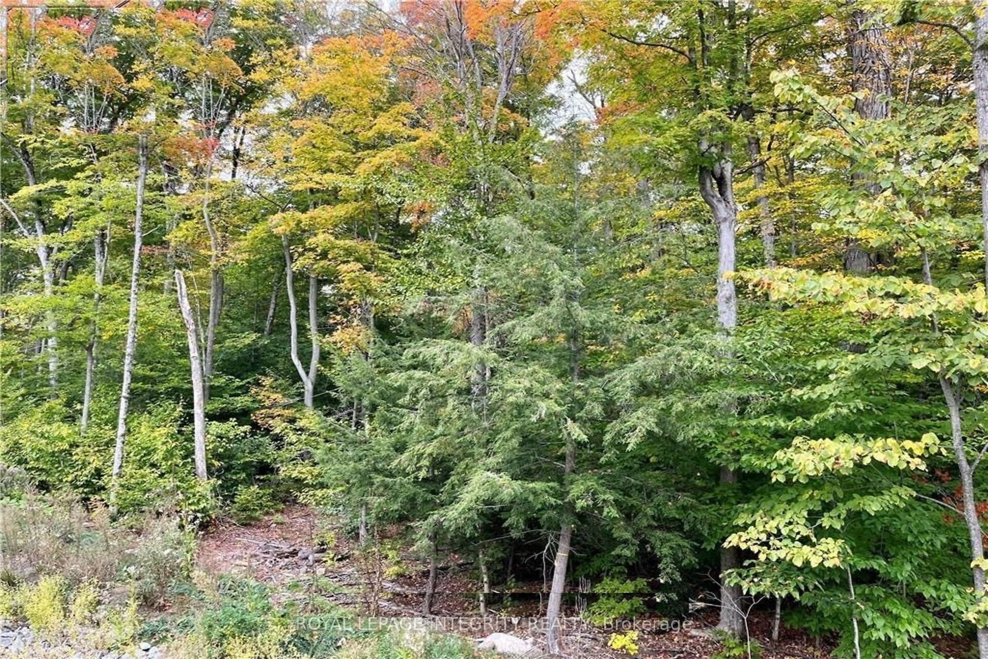 131 Shady Maple Road Property Photo 18