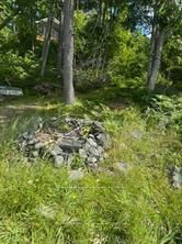 493 Buttermilk Lane Property Photo 17