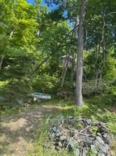 493 Buttermilk Lane Property Photo 18