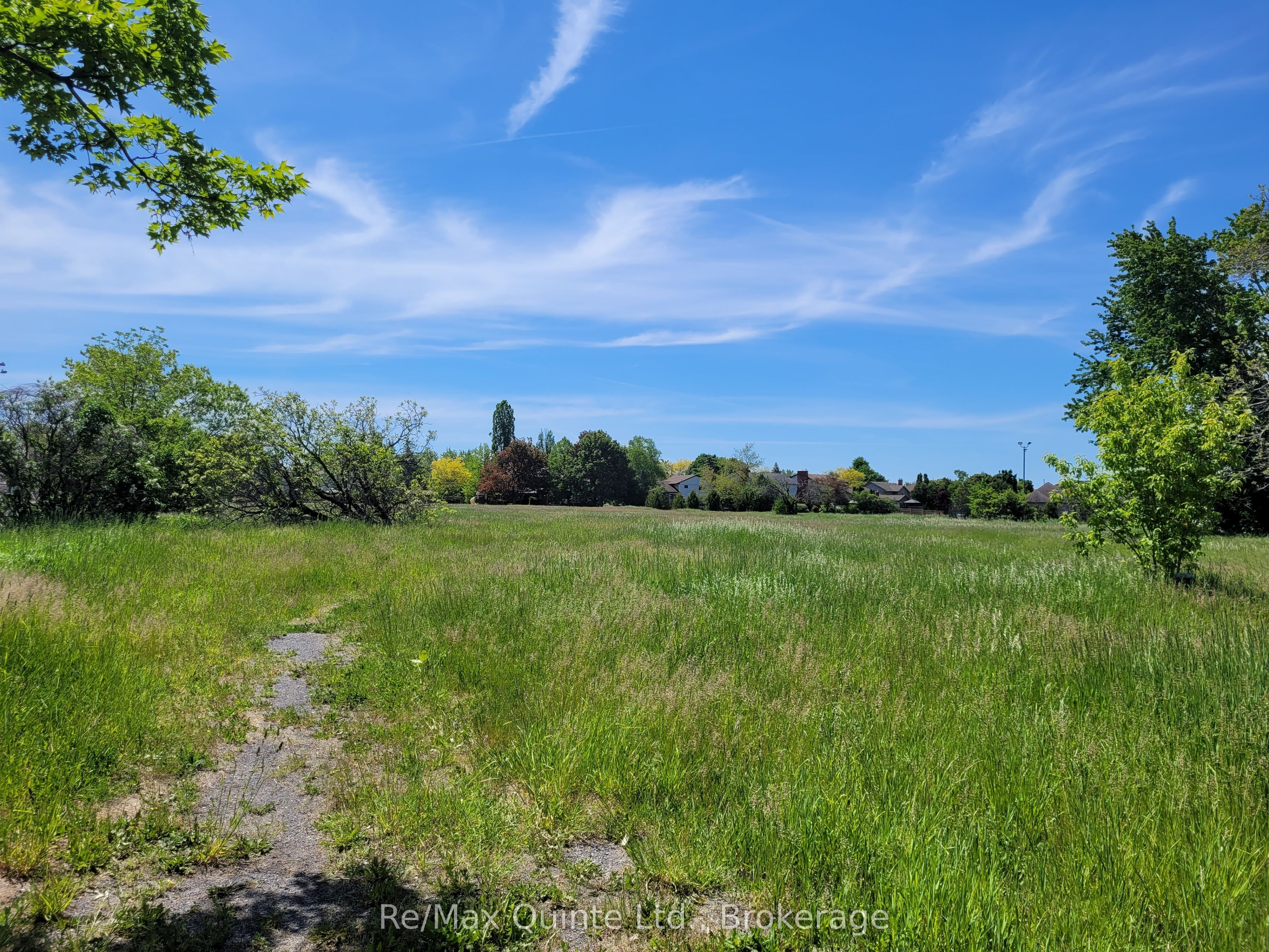 357 Bridge Street W Property Photo 2