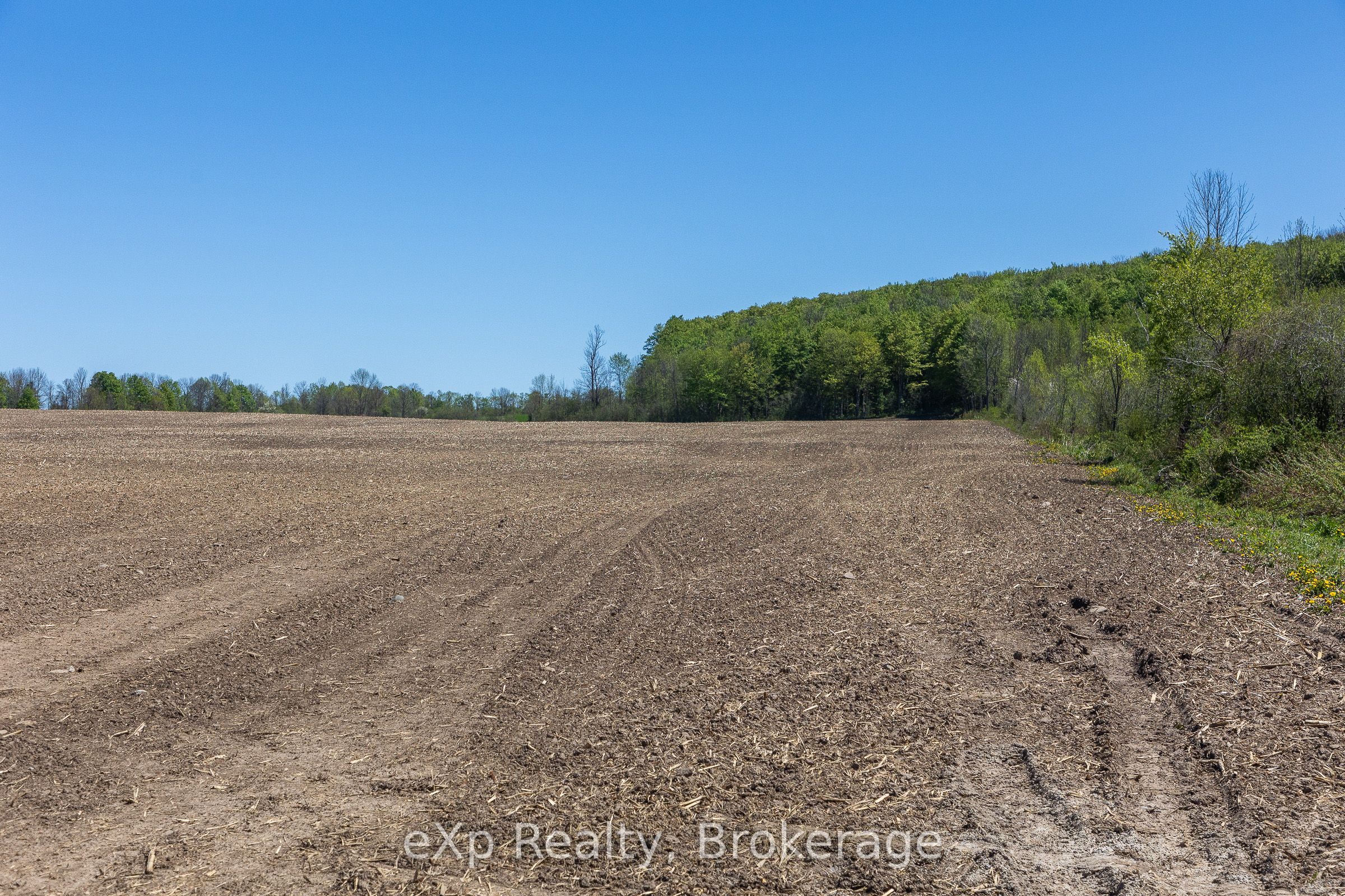 157659 7th Line Property Photo 24