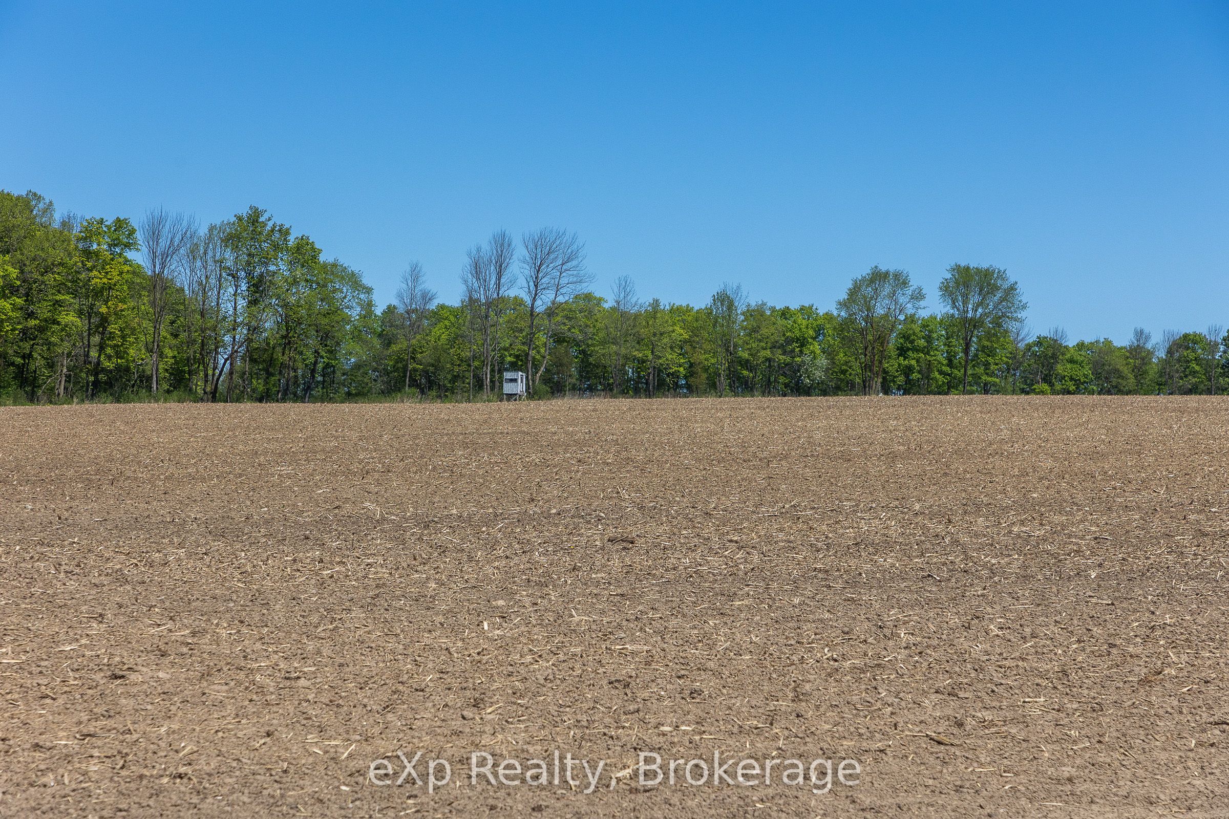 157659 7th Line Property Photo 25