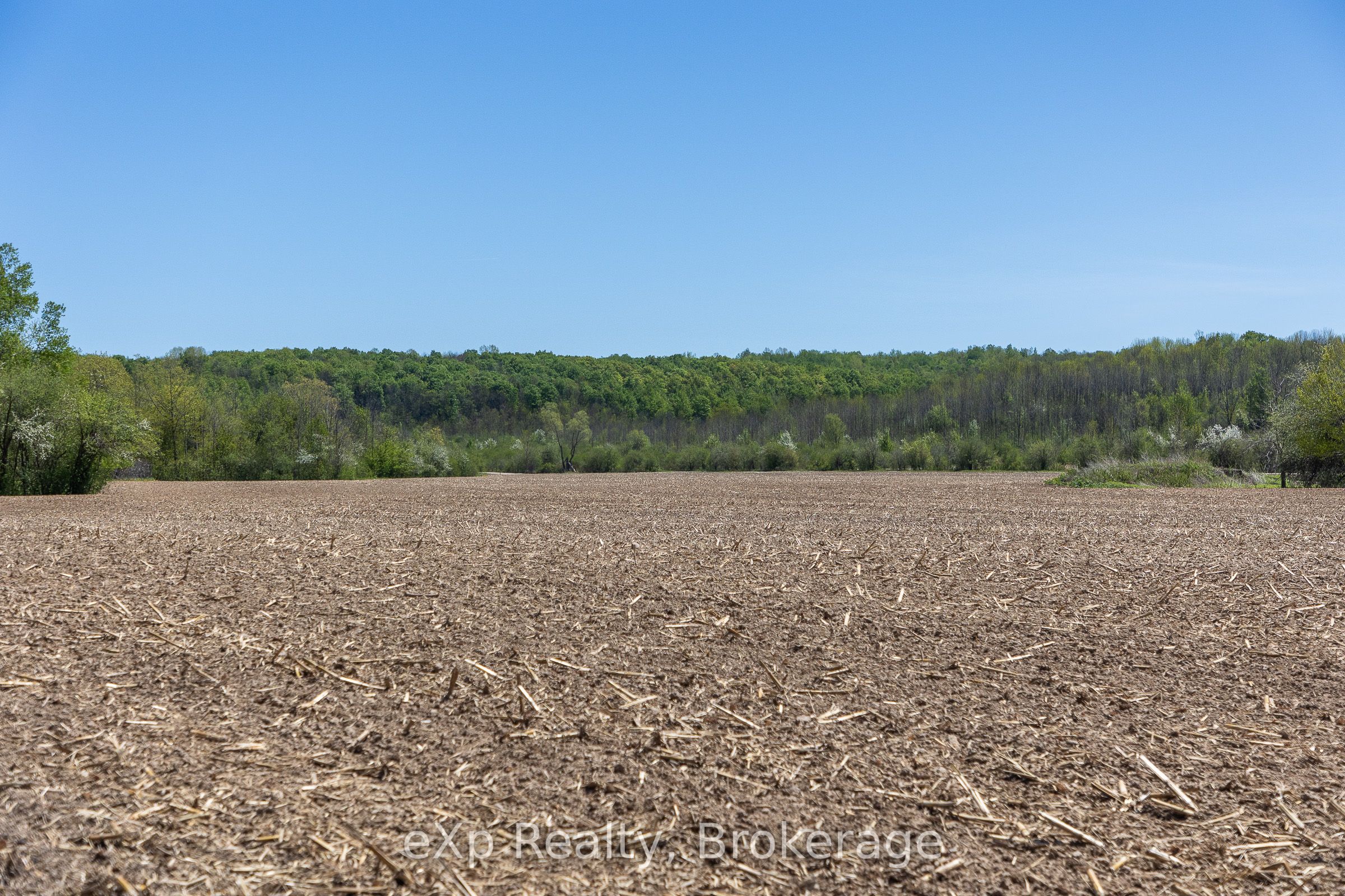 157659 7th Line Property Photo 26