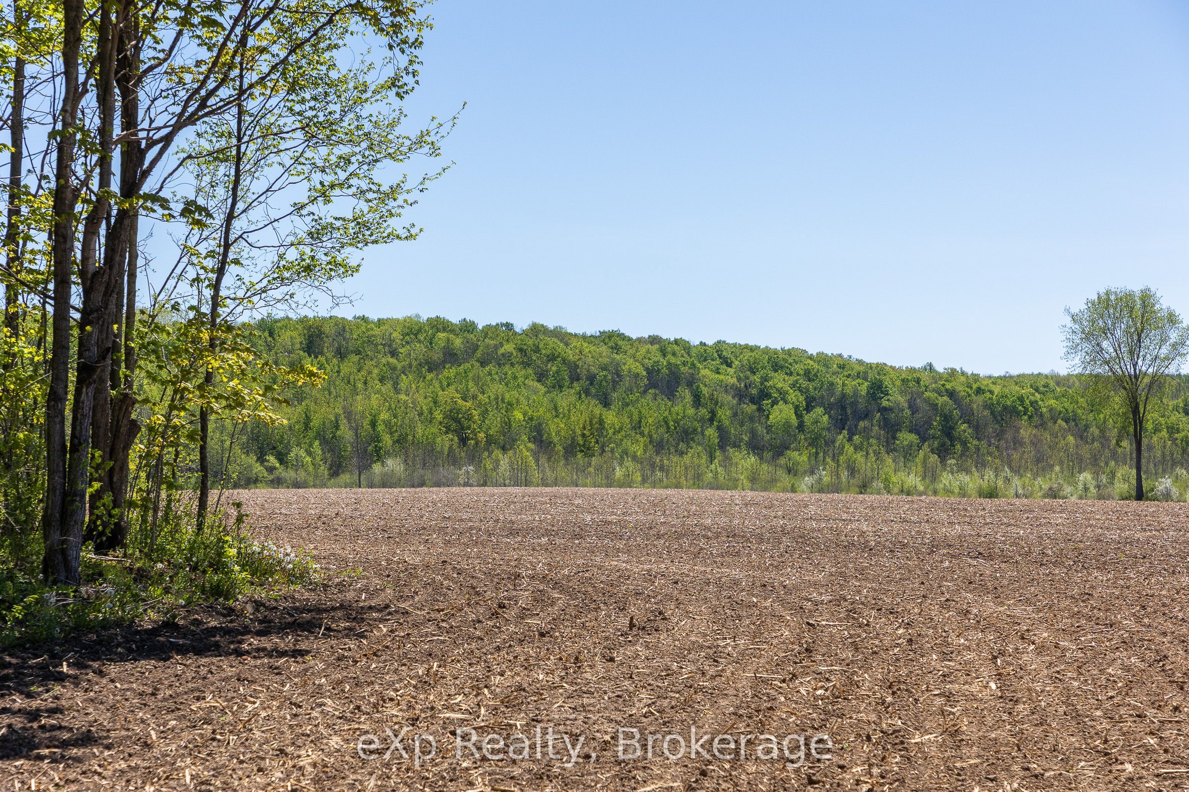 157659 7th Line Property Photo 28