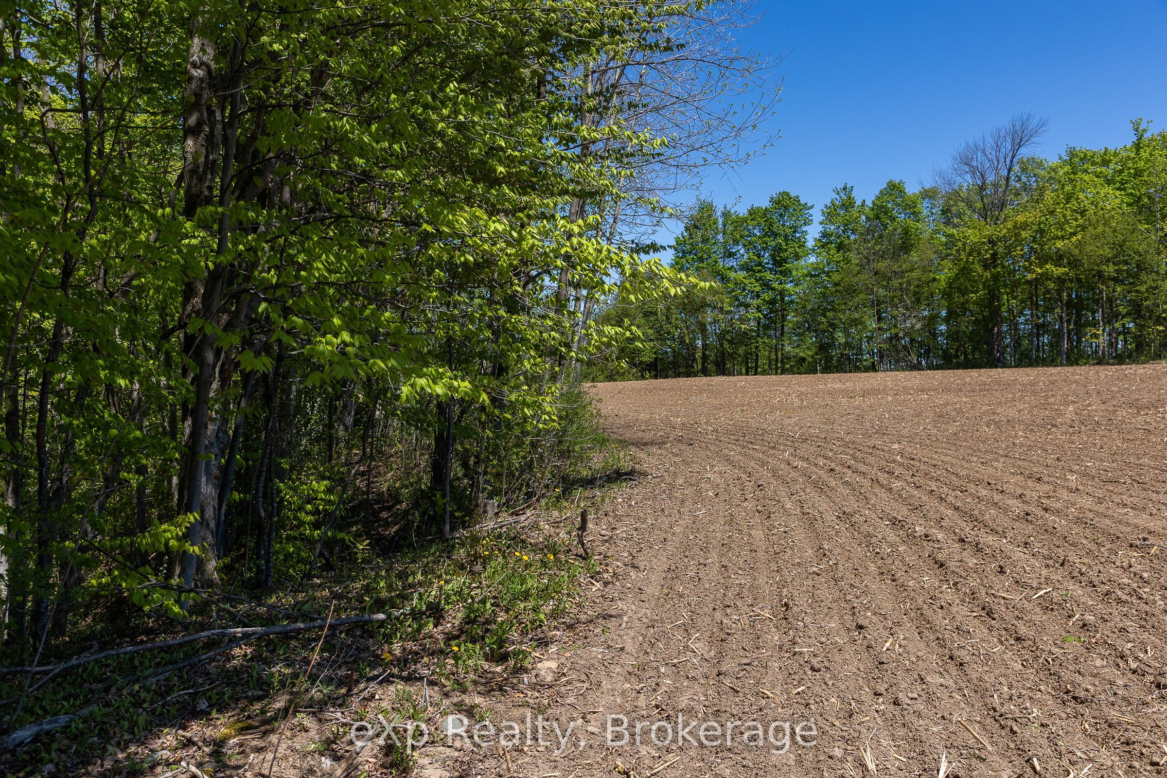 157659 7th Line Property Photo 29