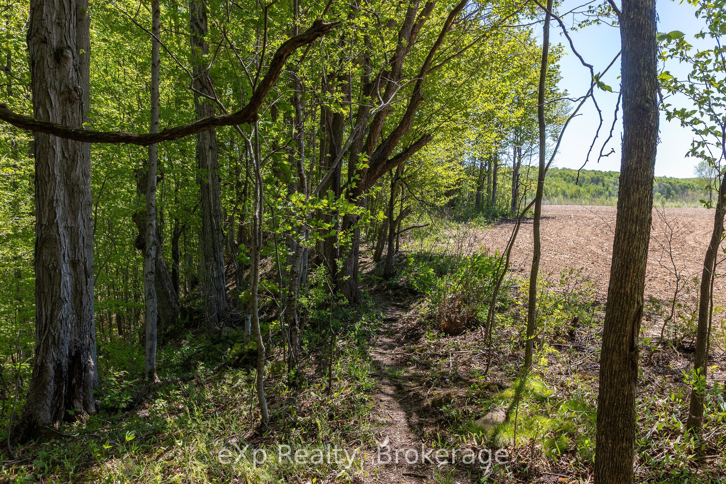 157659 7th Line Property Photo 30