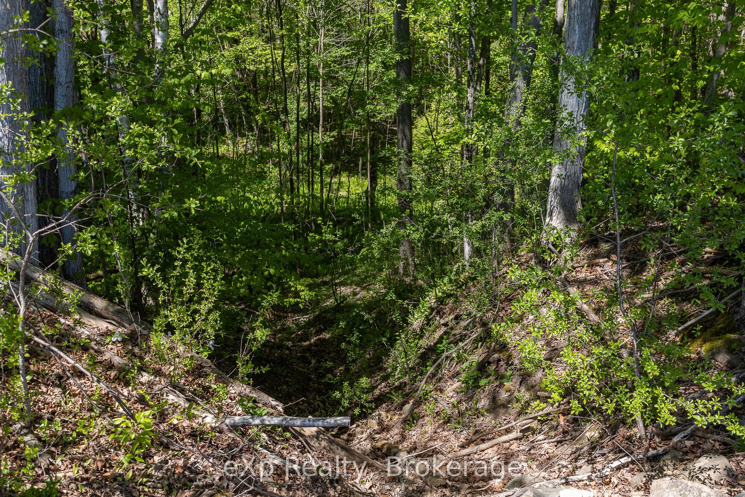 157659 7th Line Property Photo 31
