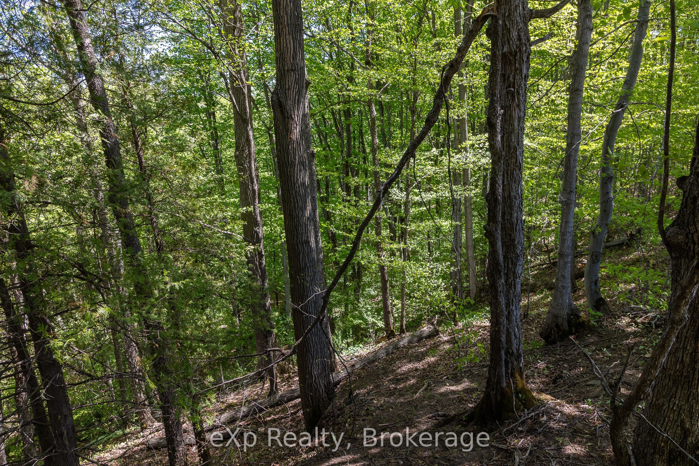 157659 7th Line Property Photo 32