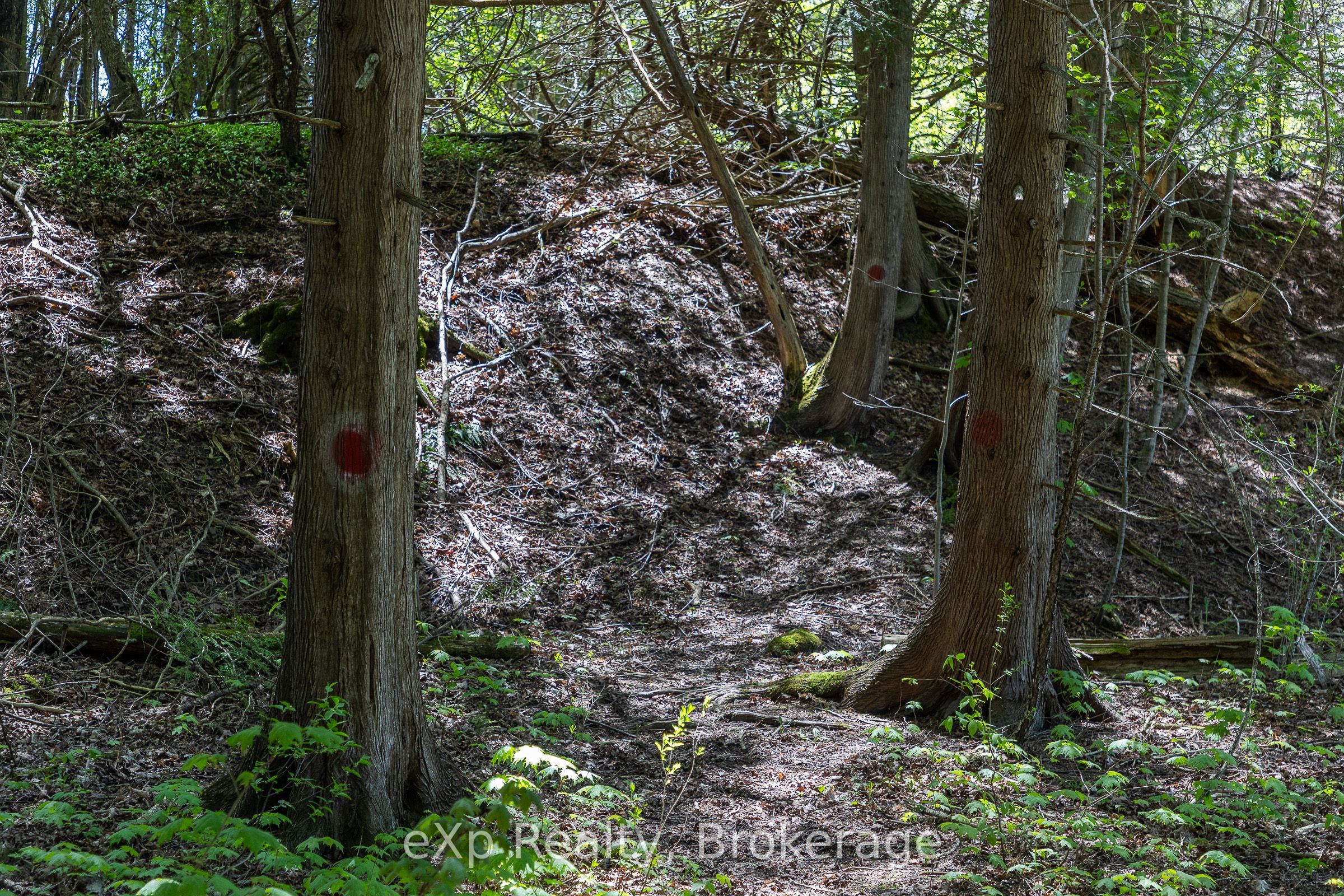 157659 7th Line Property Photo 33