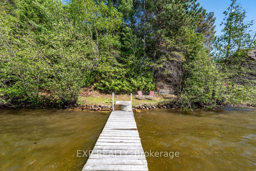 56 Lefty Lane Property Photo 5