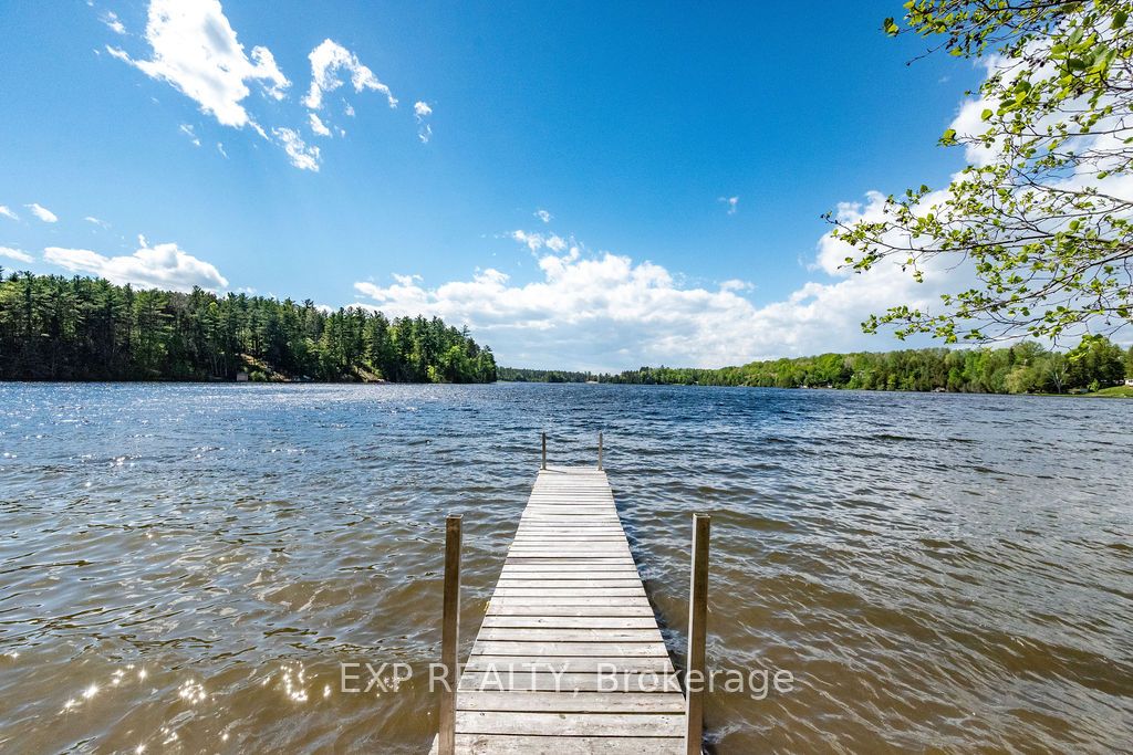 56 Lefty Lane Property Photo 10
