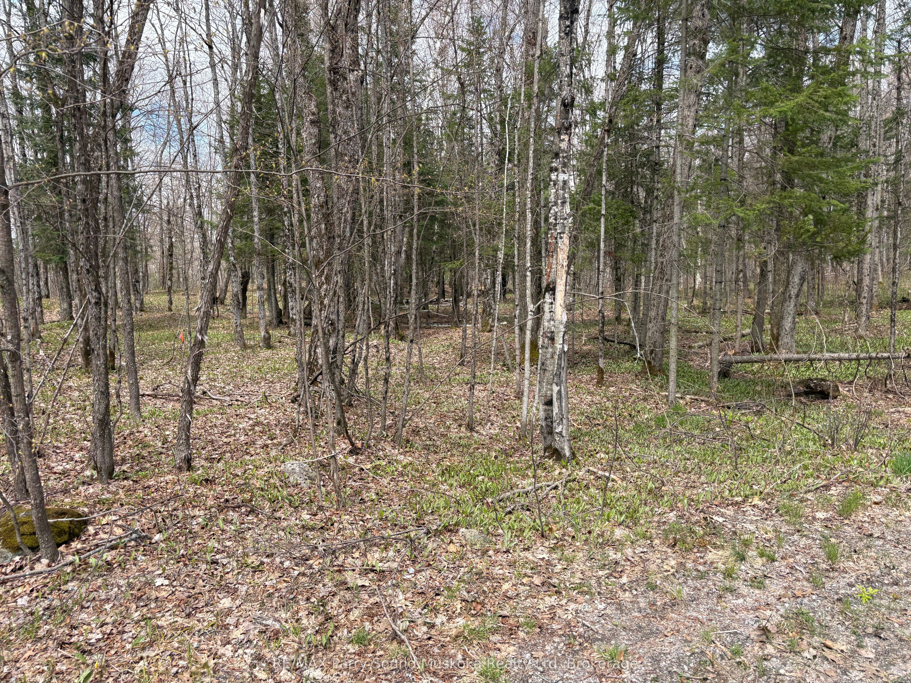 0 Dauncey Road Property Photo 1