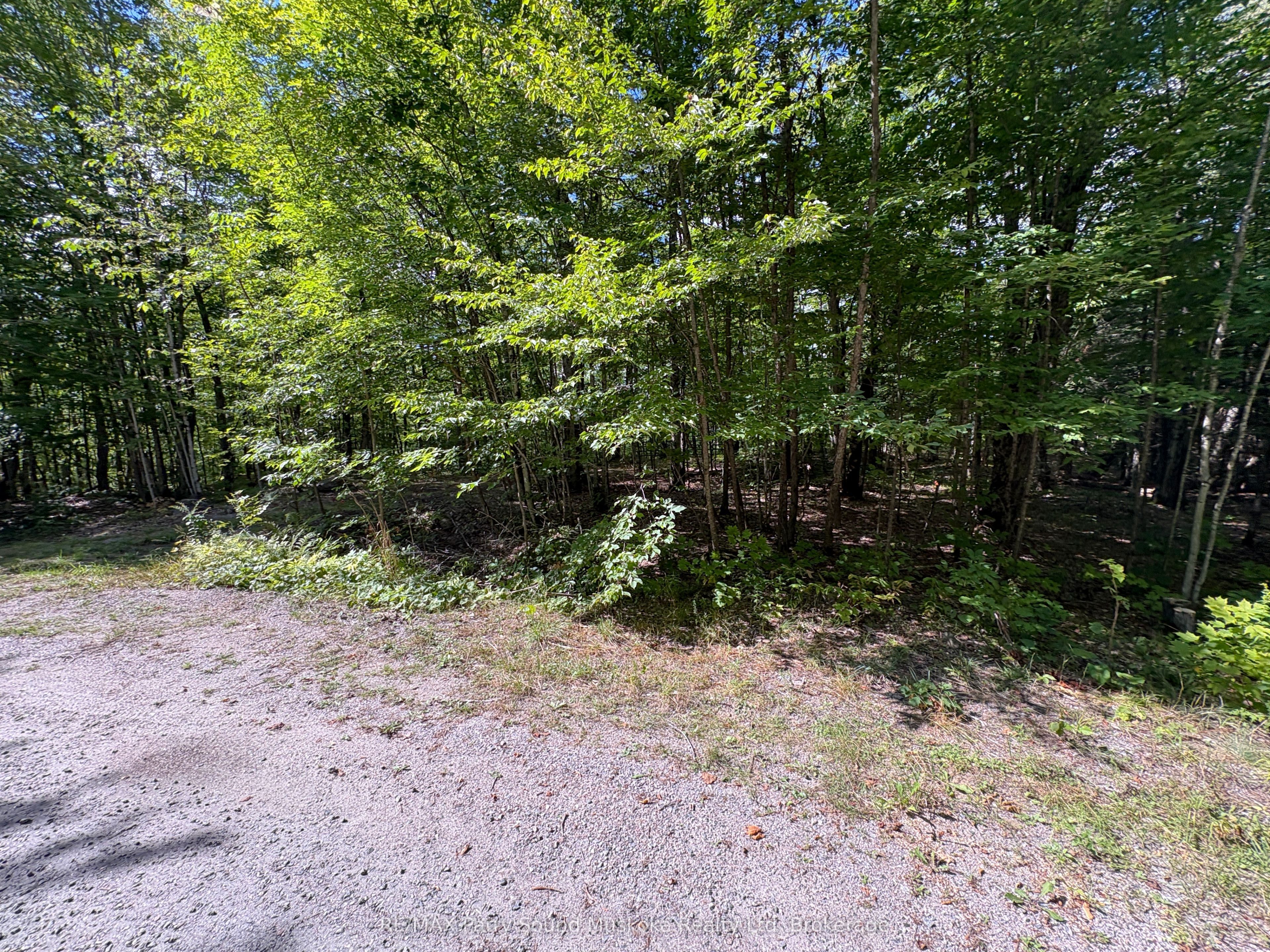 0 Dauncey Road Property Photo 2