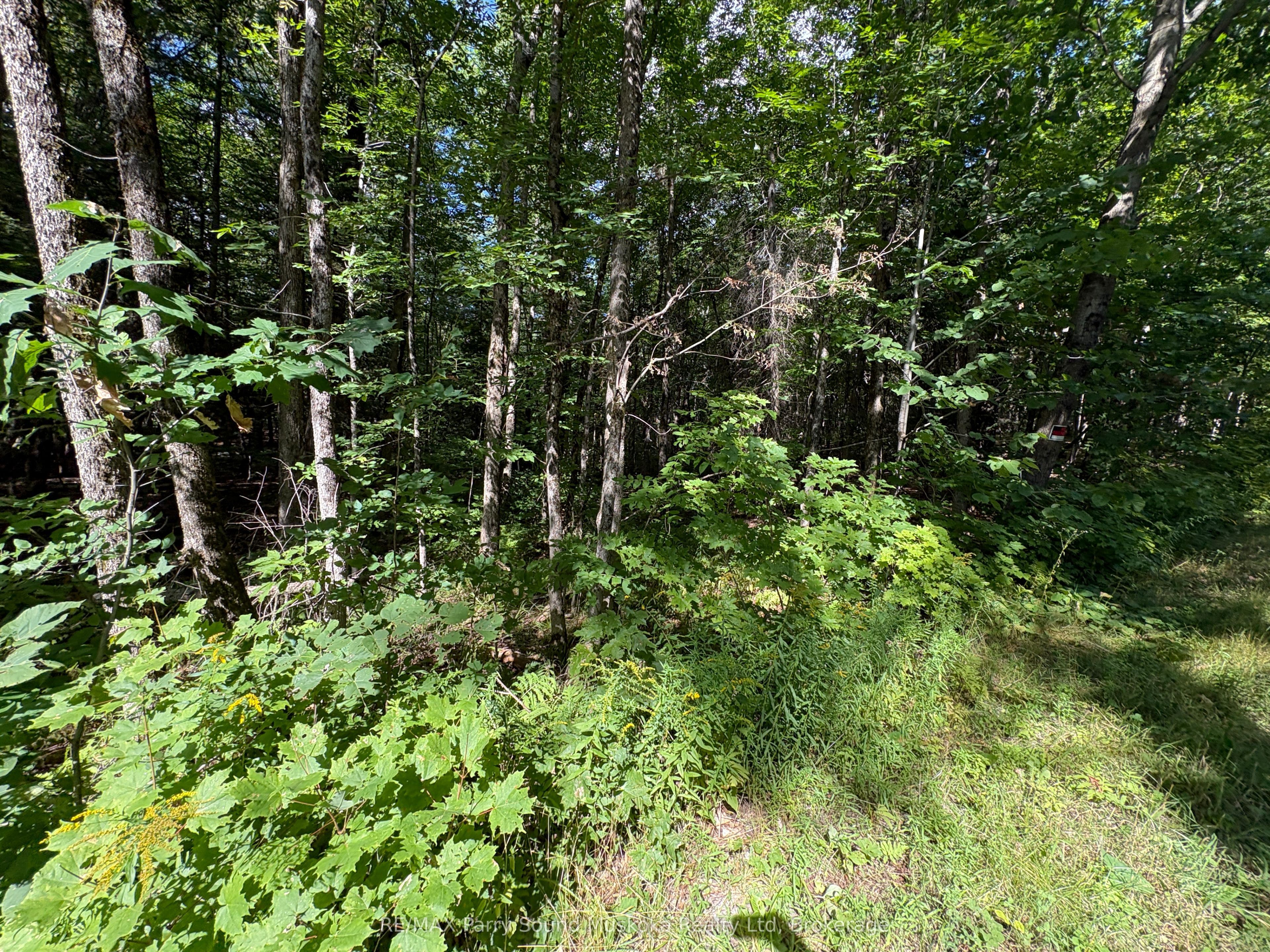 0 Dauncey Road Property Photo 6