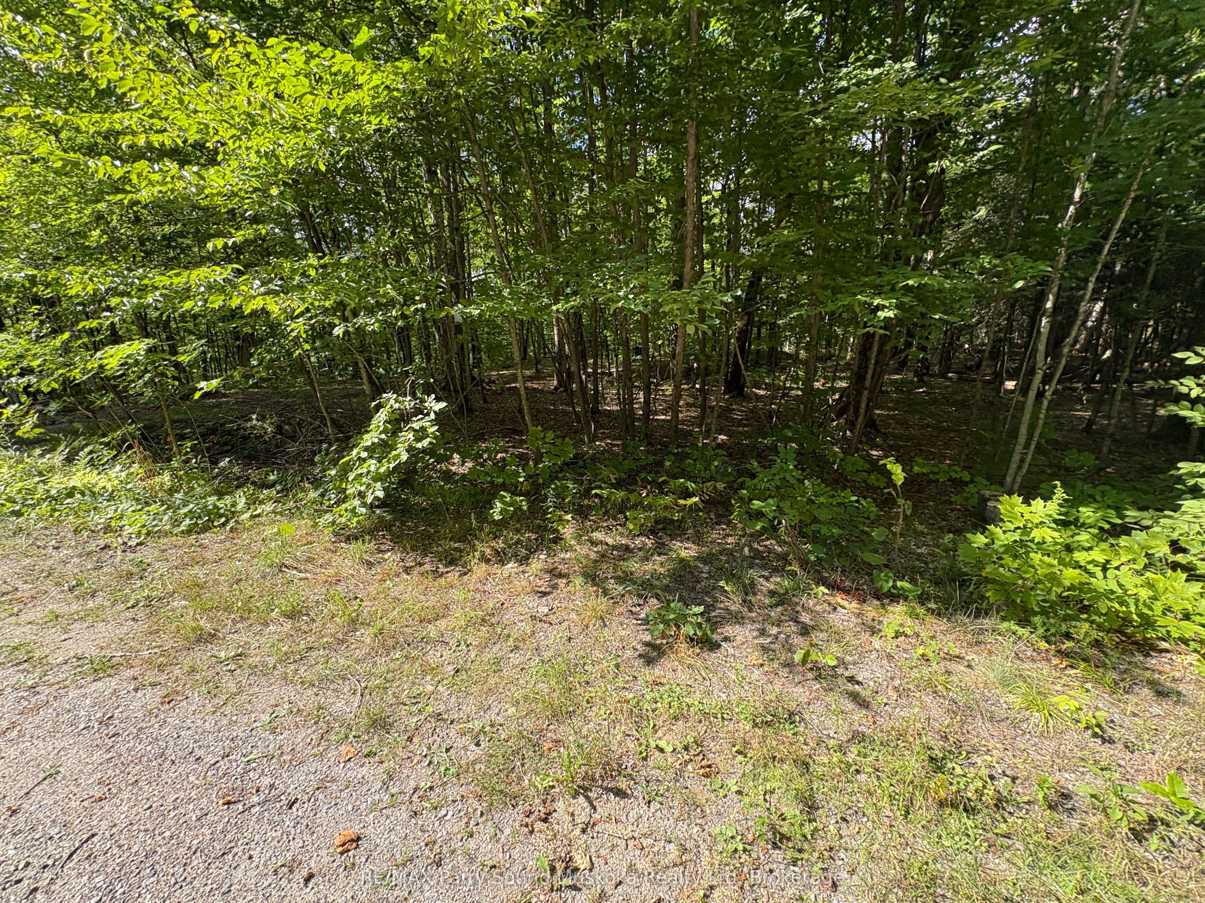 0 Dauncey Road Property Photo 9