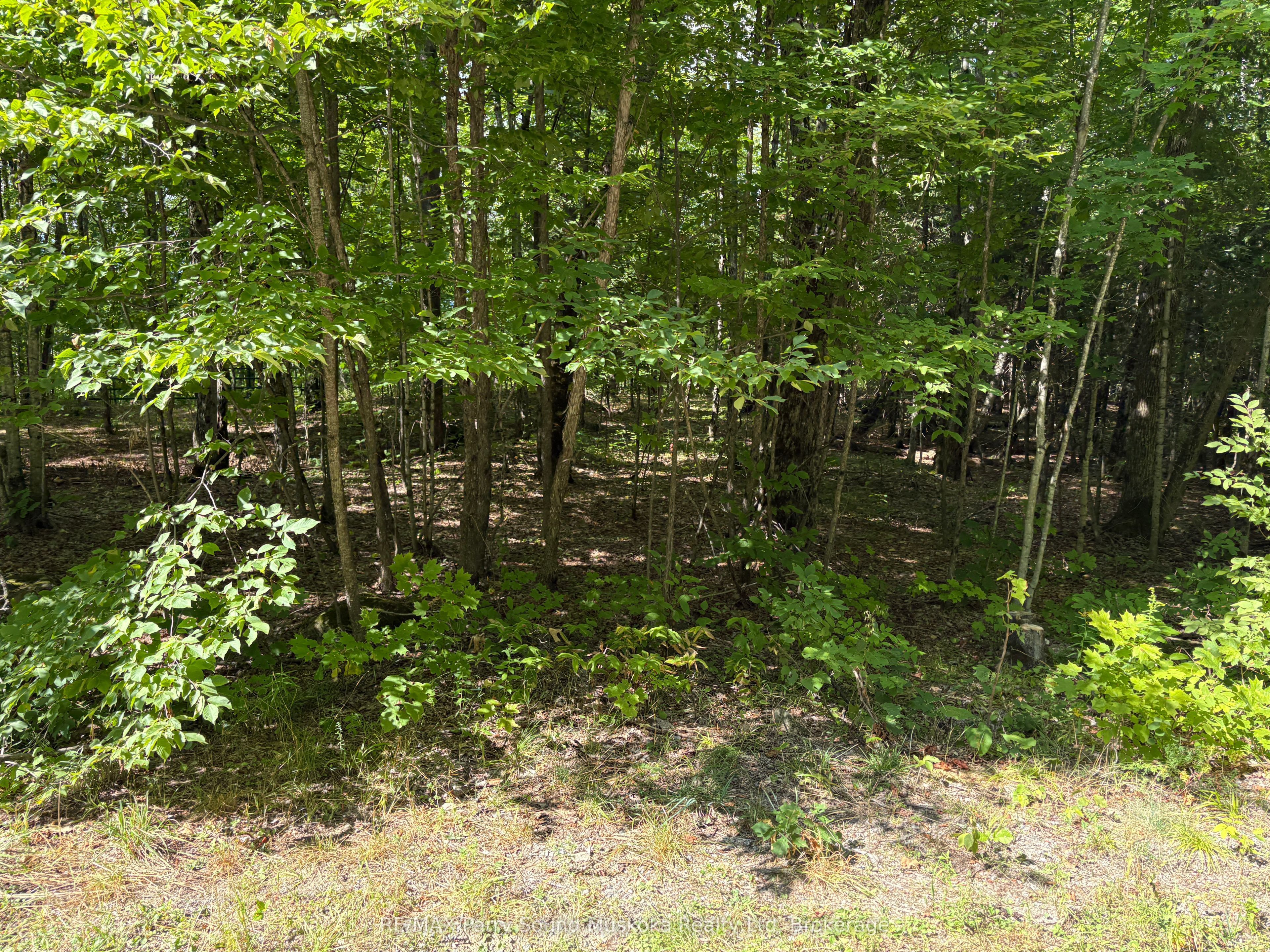 0 Dauncey Road Property Photo 10
