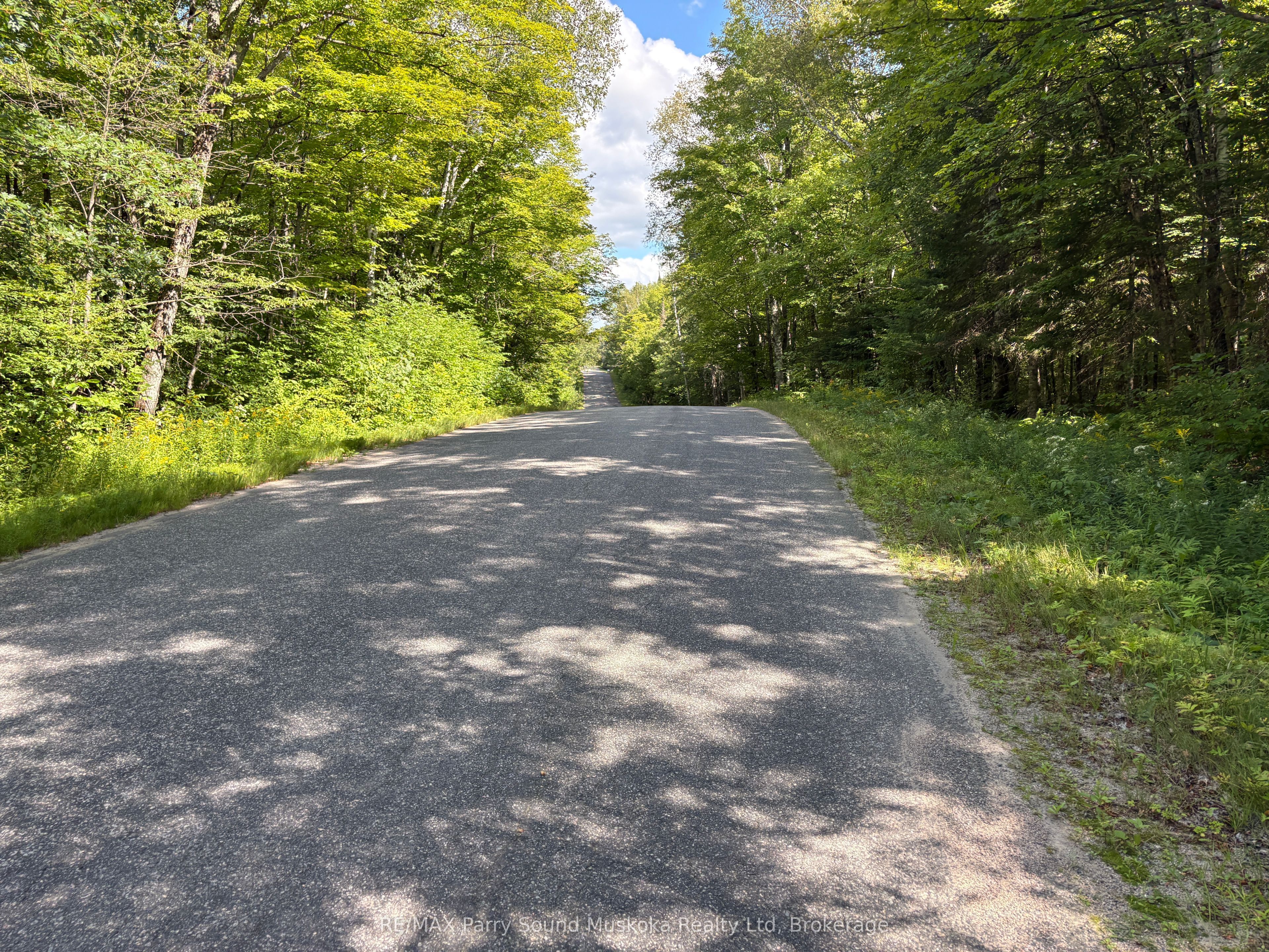 0 Ahmic Lake Road Property Photo 4