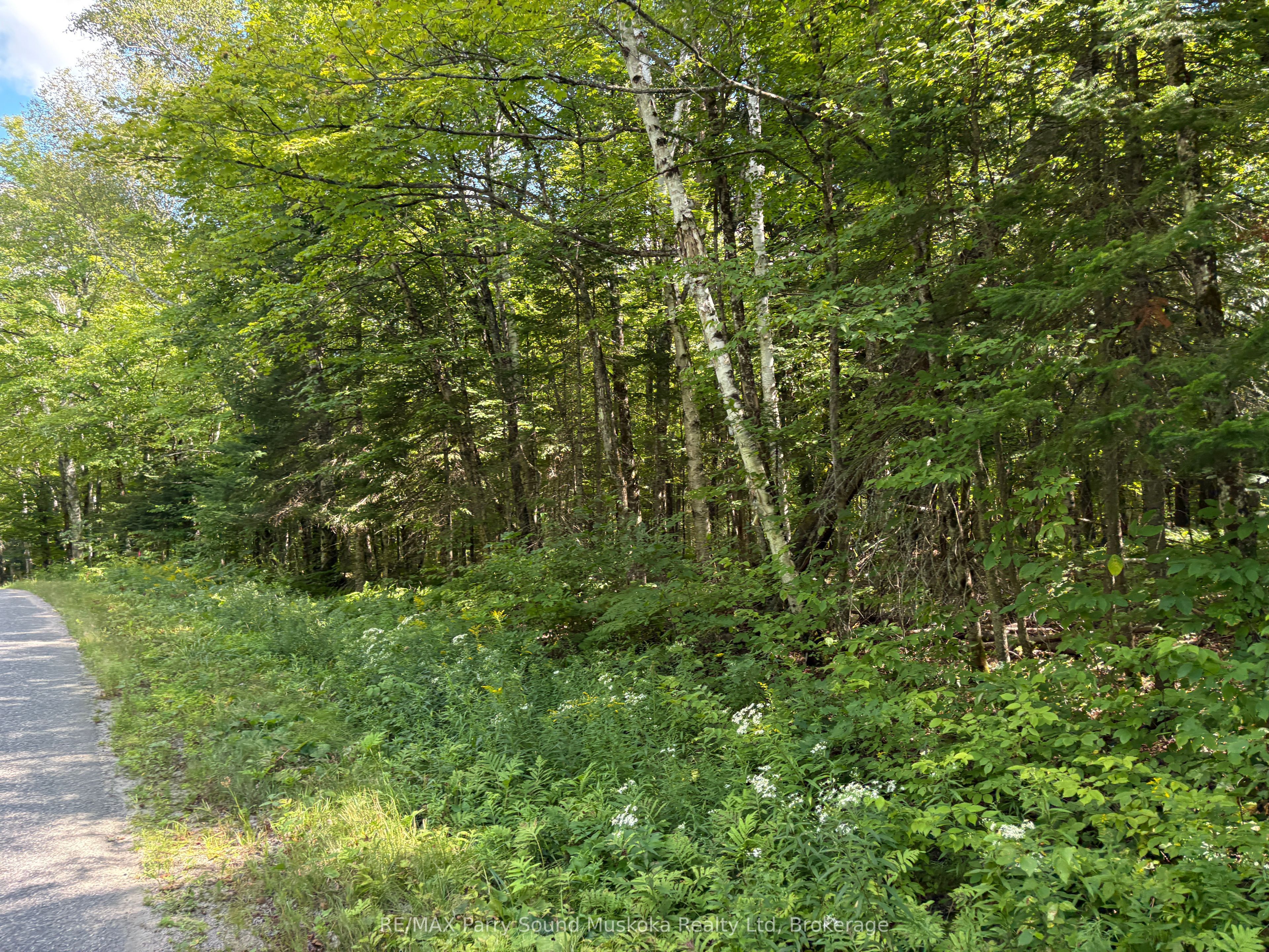 0 Ahmic Lake Road Property Photo 6