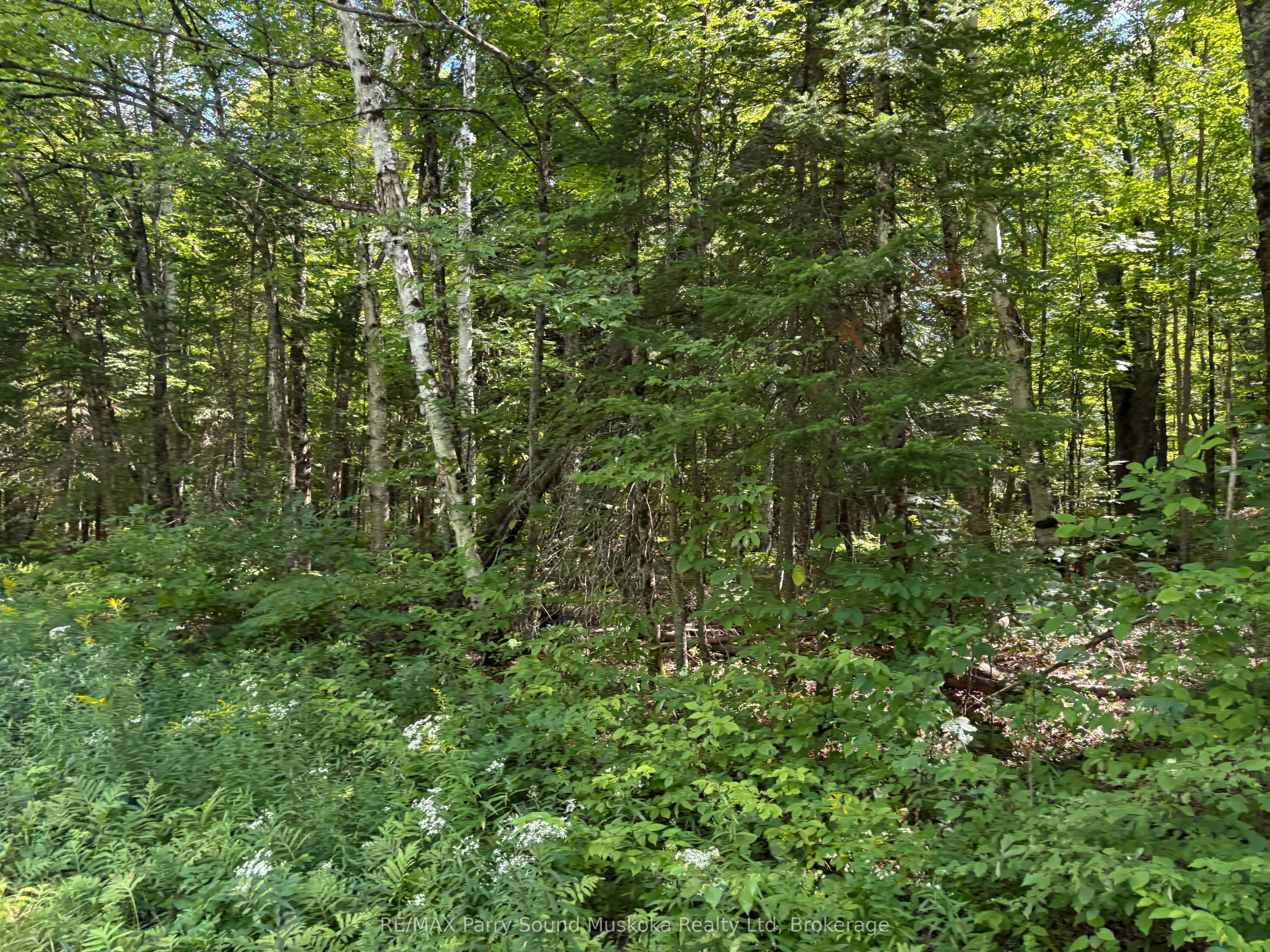 0 Ahmic Lake Road Property Photo 7