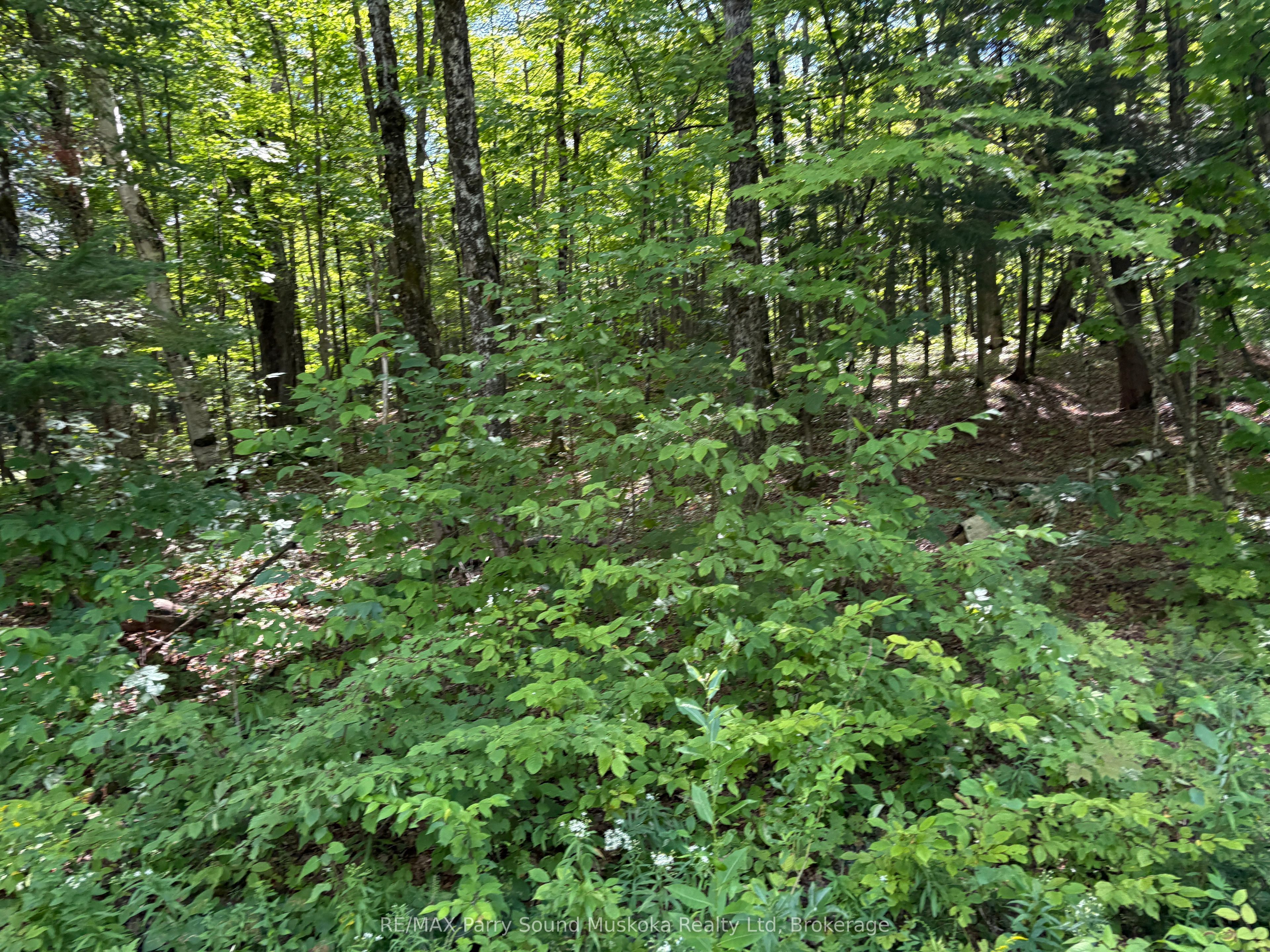 0 Ahmic Lake Road Property Photo 8