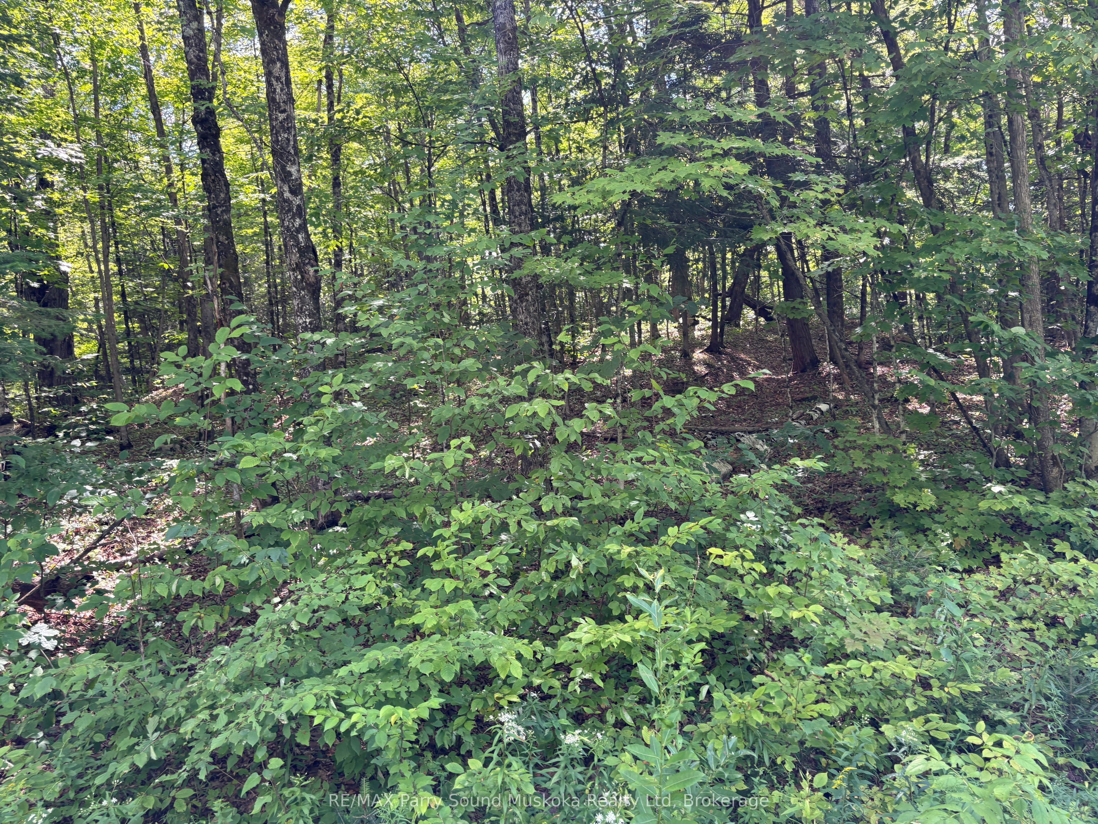 0 Ahmic Lake Road Property Photo 9