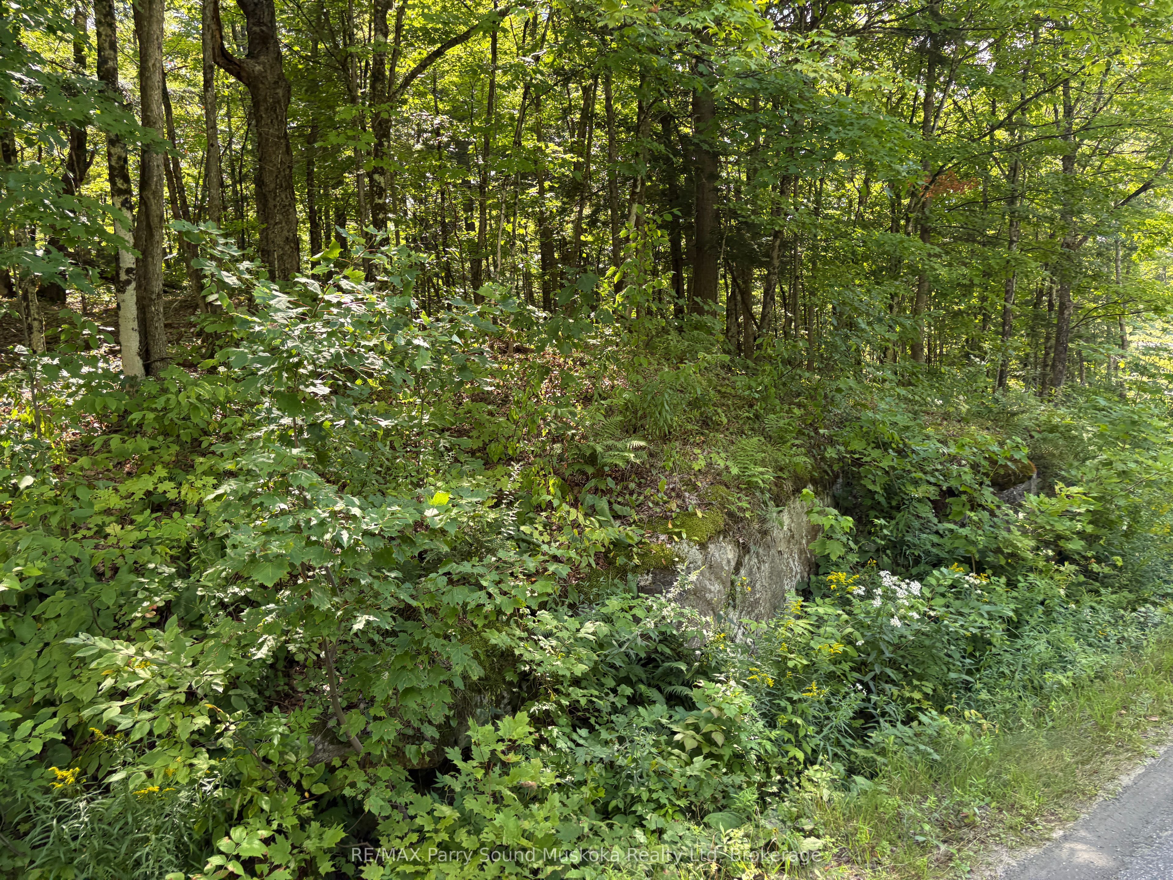 0 Ahmic Lake Road Property Photo 11