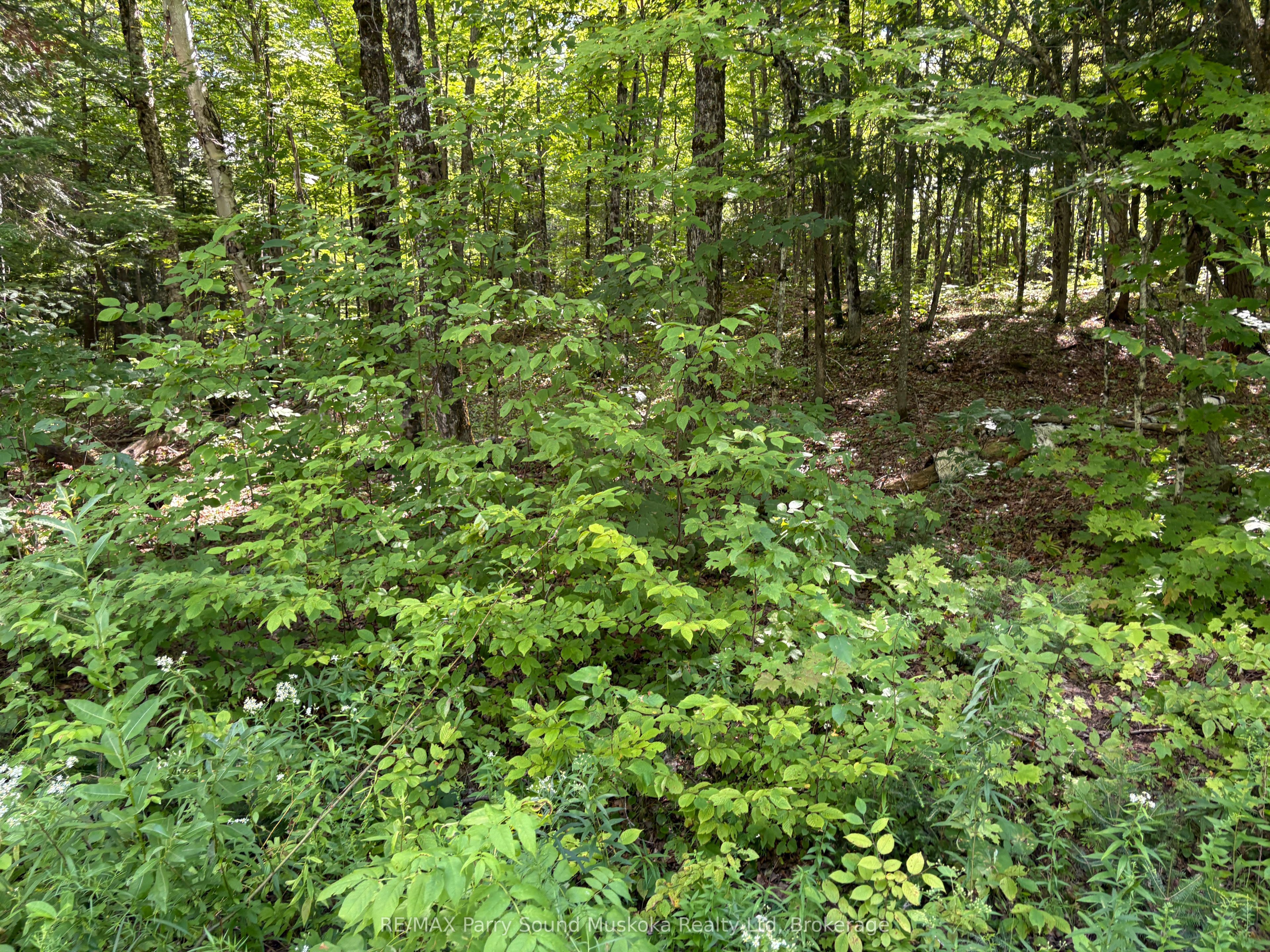 0 Ahmic Lake Road Property Photo 12