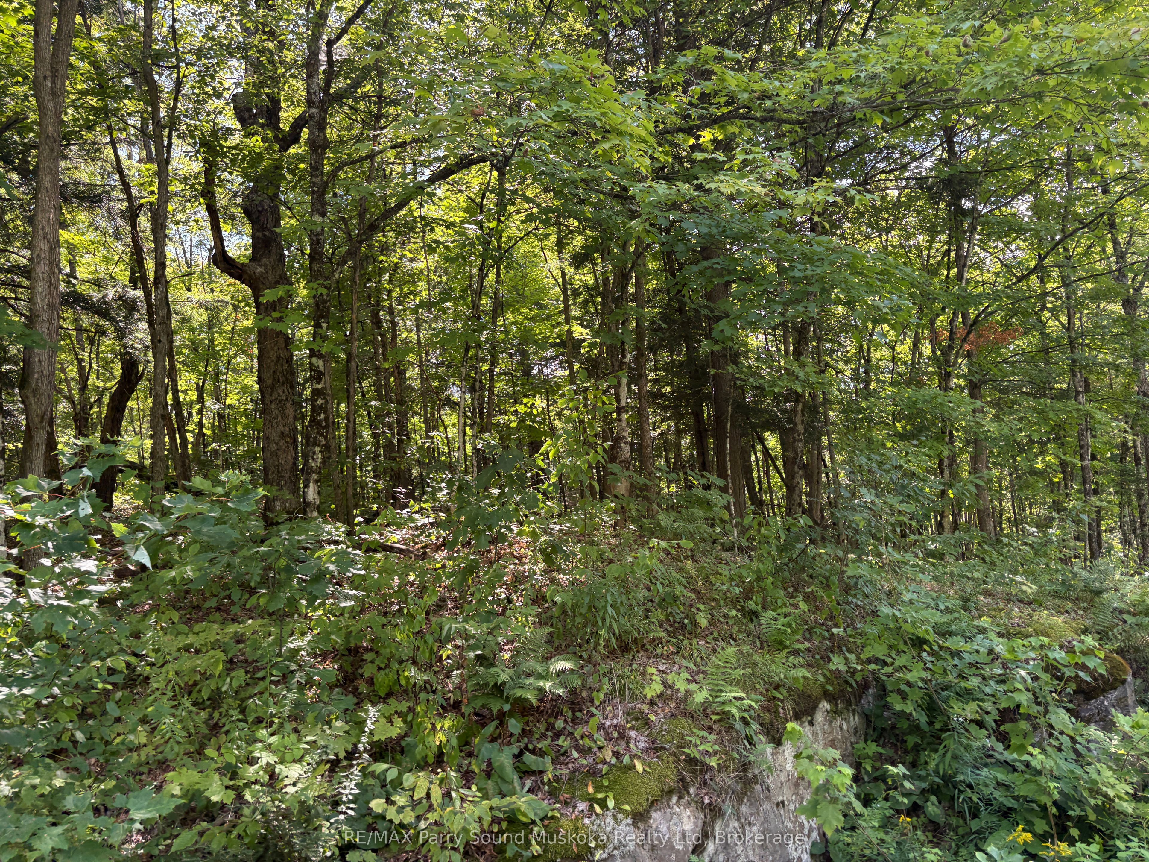 0 Ahmic Lake Road Property Photo 13