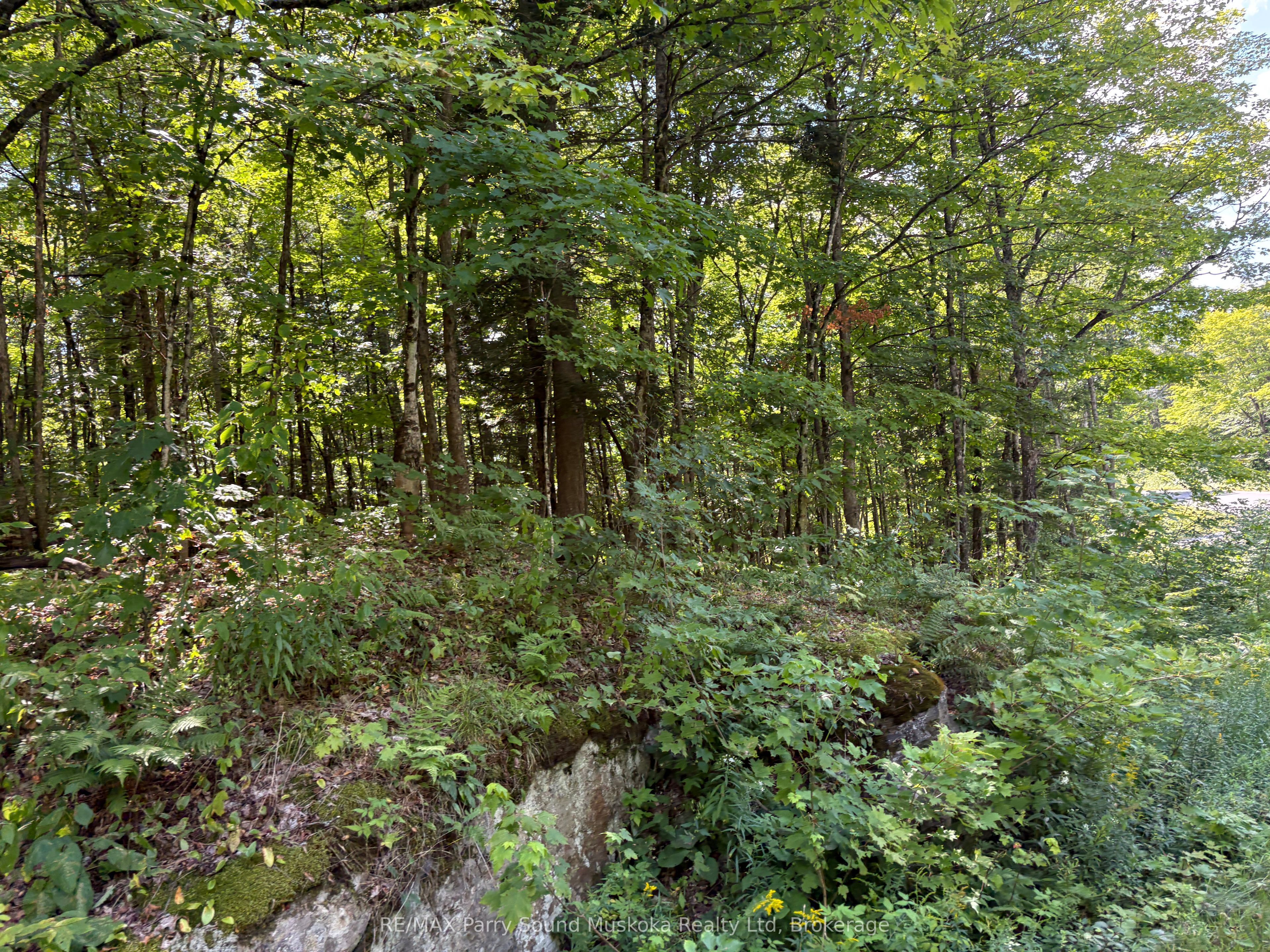 0 Ahmic Lake Road Property Photo 14