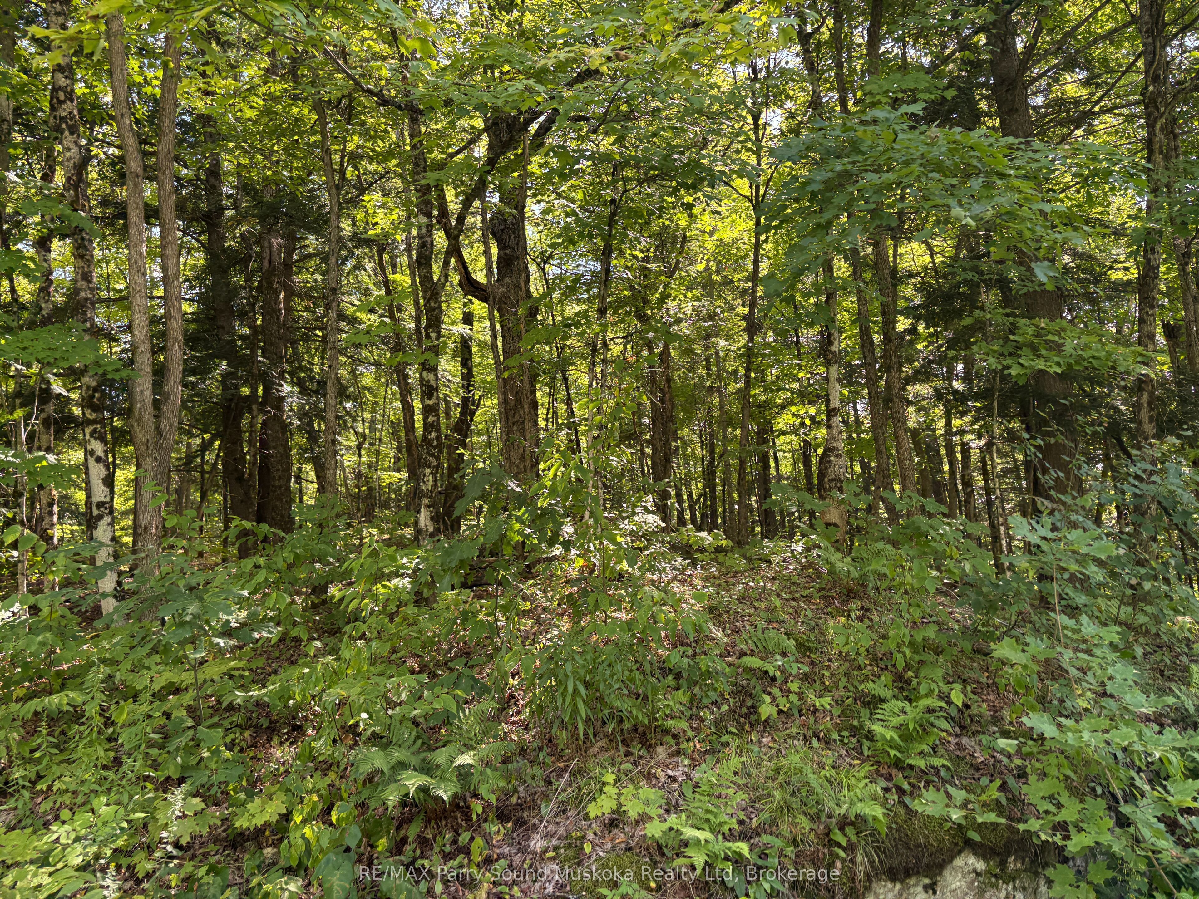 0 Ahmic Lake Road Property Photo 15