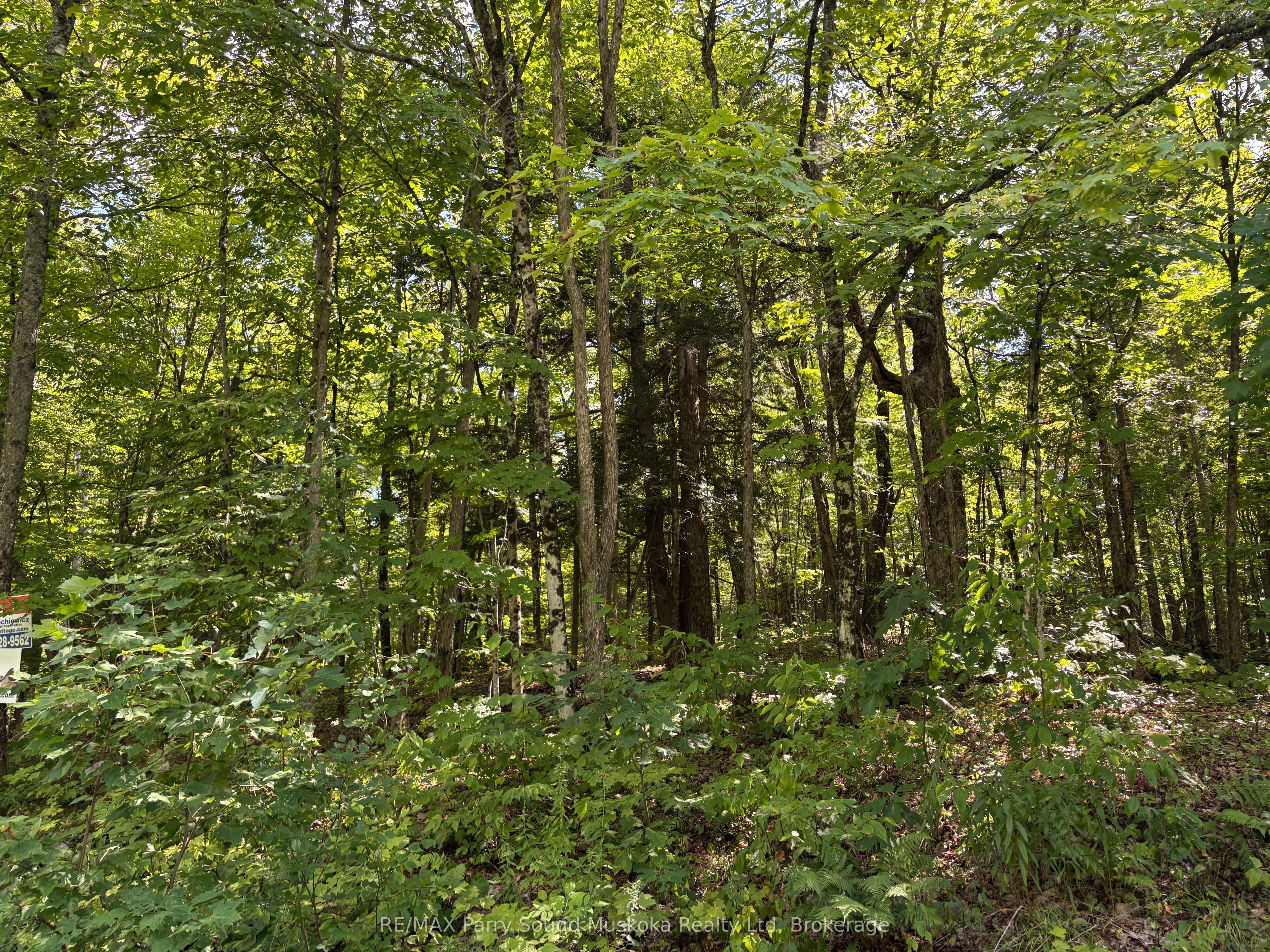 0 Ahmic Lake Road Property Photo 16