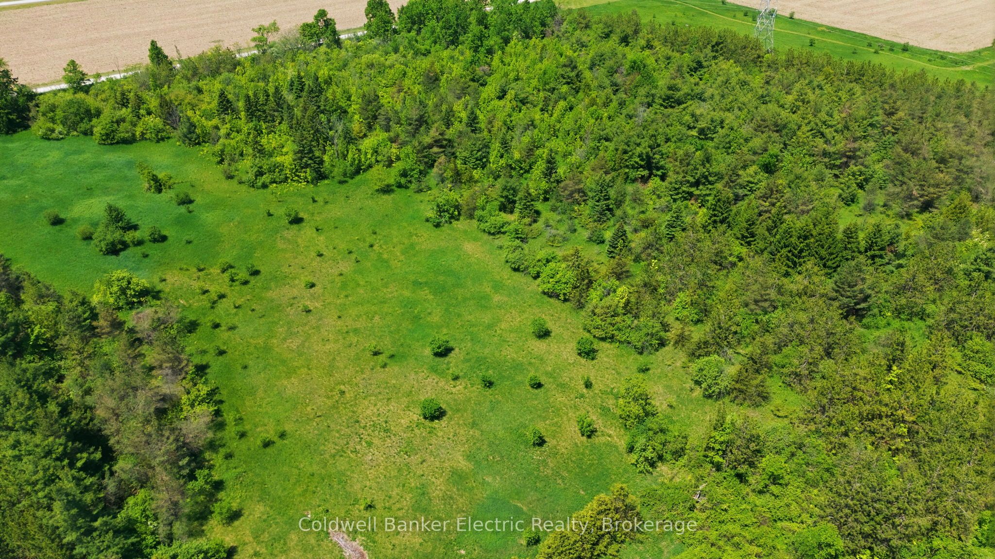 468 Fallis Line Property Photo 13