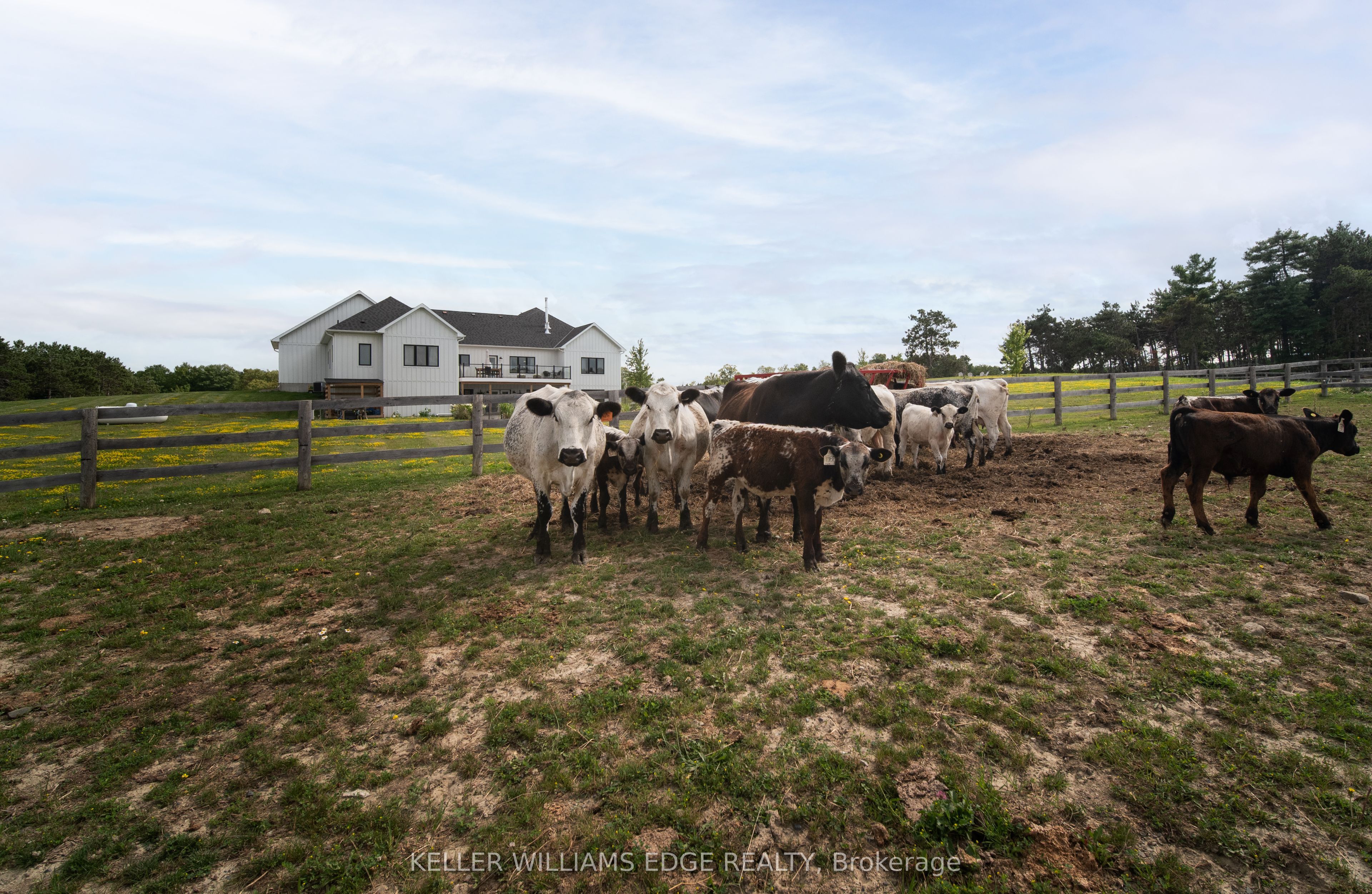 568211 9 Side Road Property Photo 46