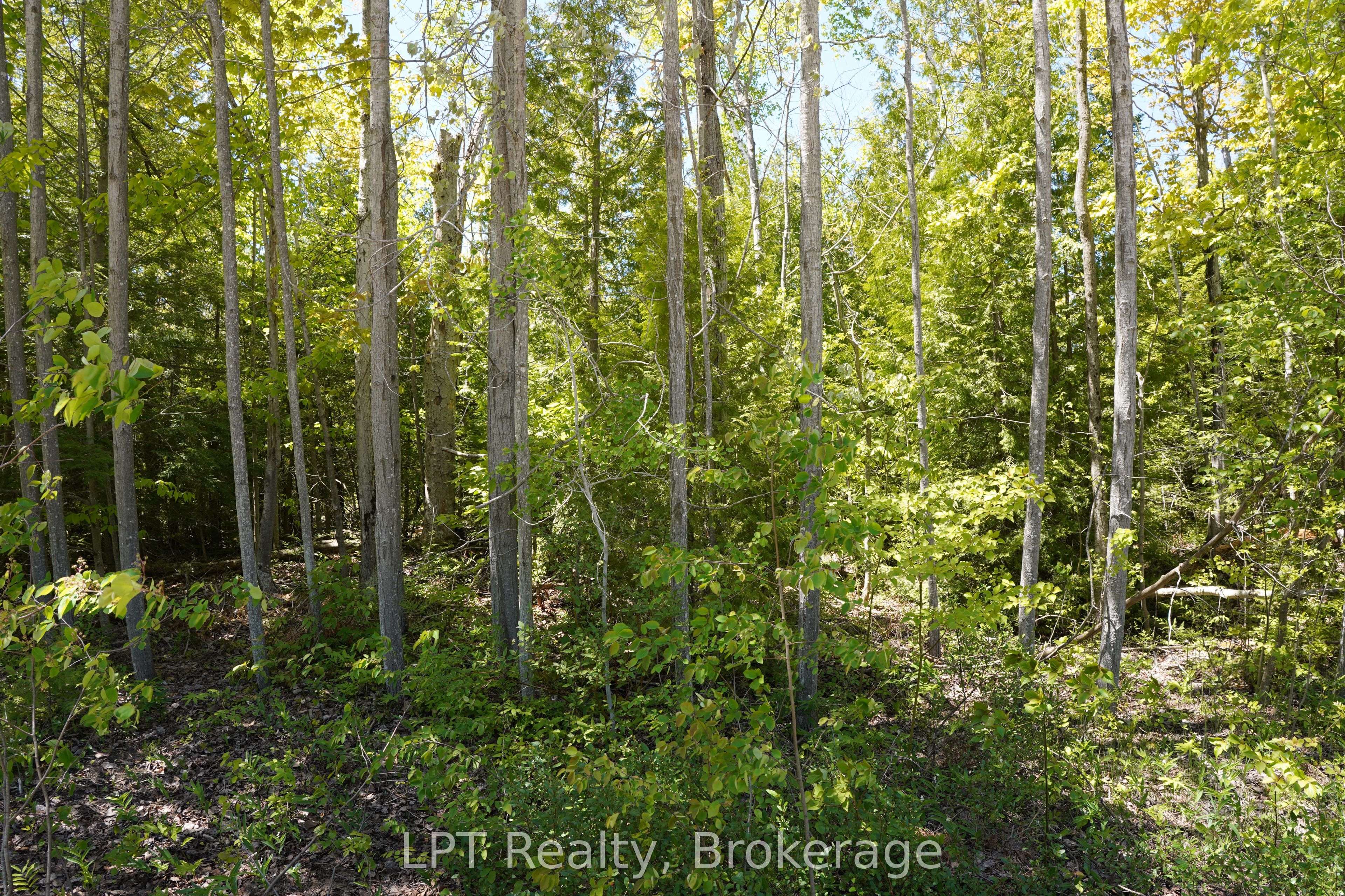 40 Old Red Bay Road Property Photo 8