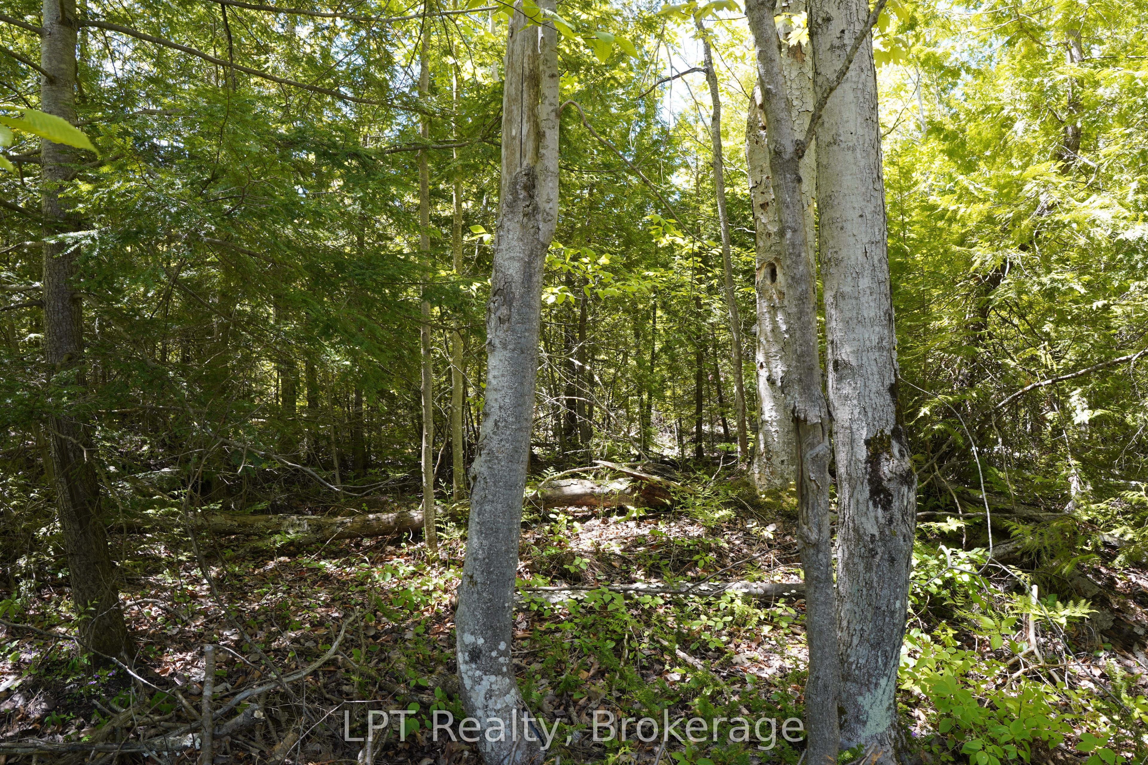 40 Old Red Bay Road Property Photo 11