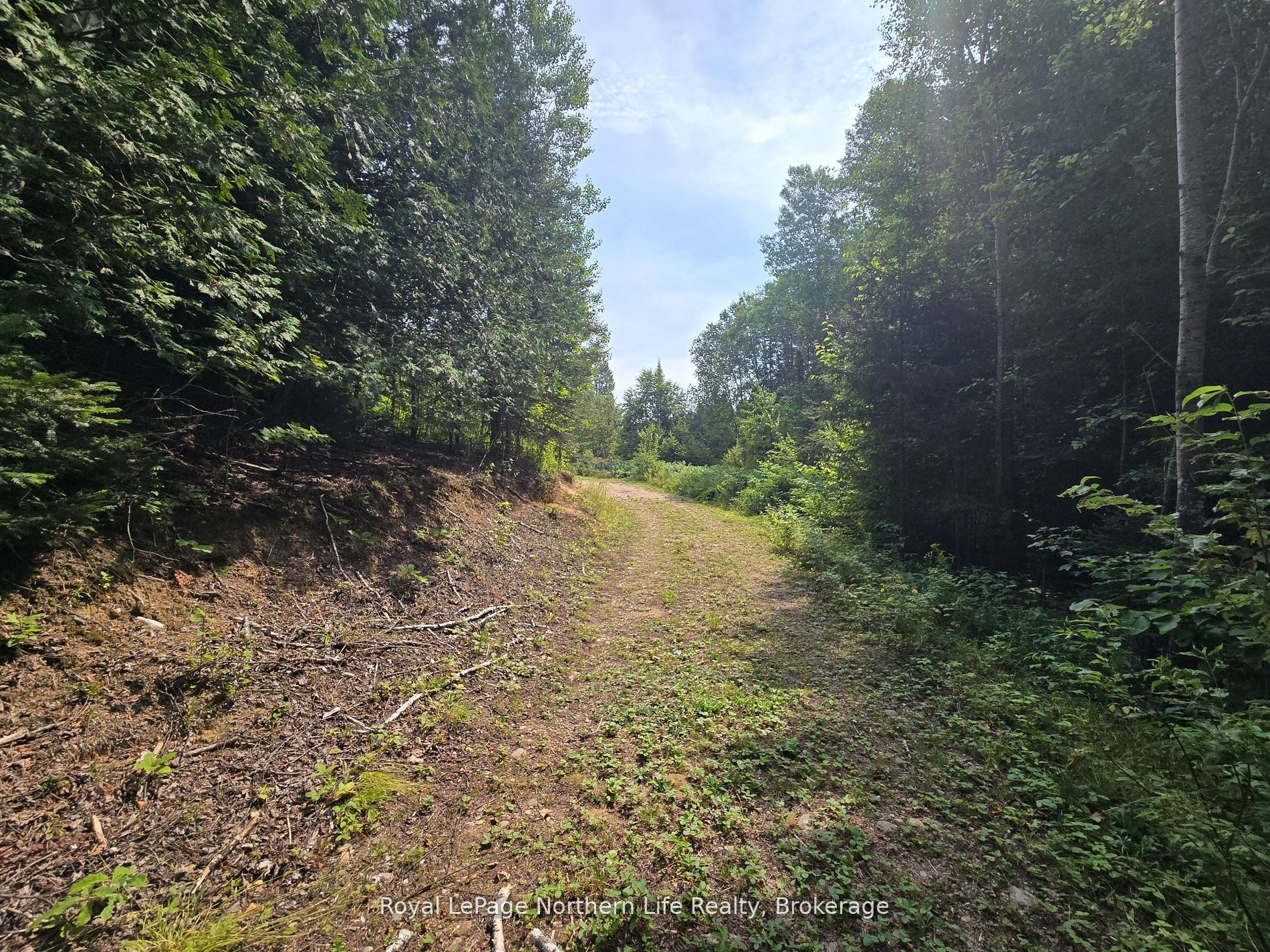 680 Mount Pleasant Road Property Photo 6