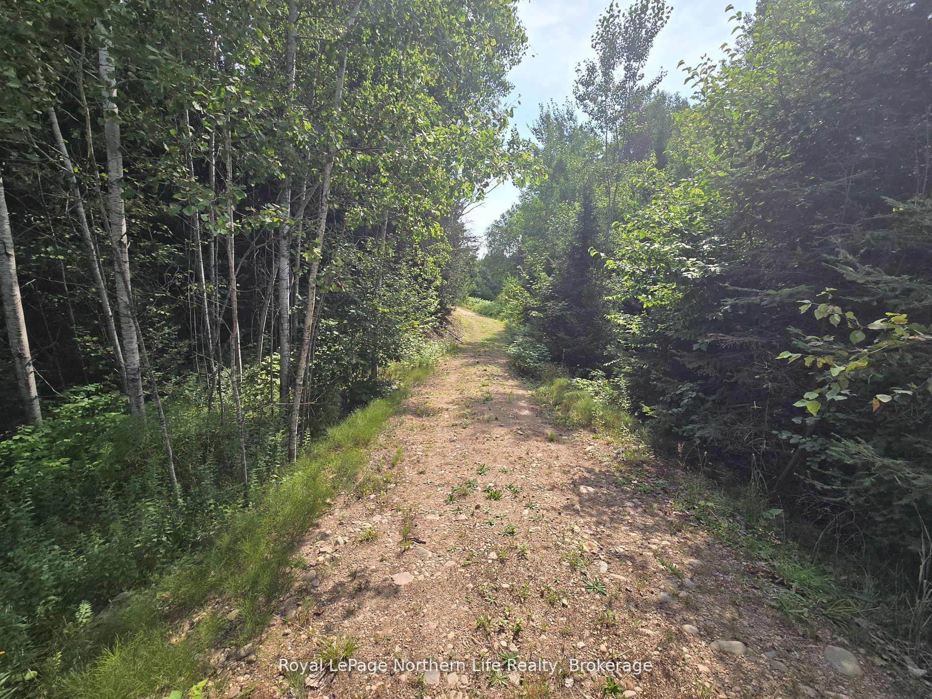680 Mount Pleasant Road Property Photo 7