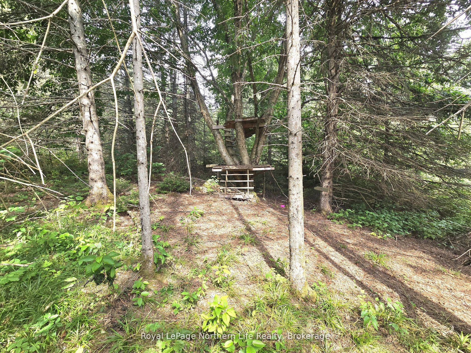680 Mount Pleasant Road Property Photo 14