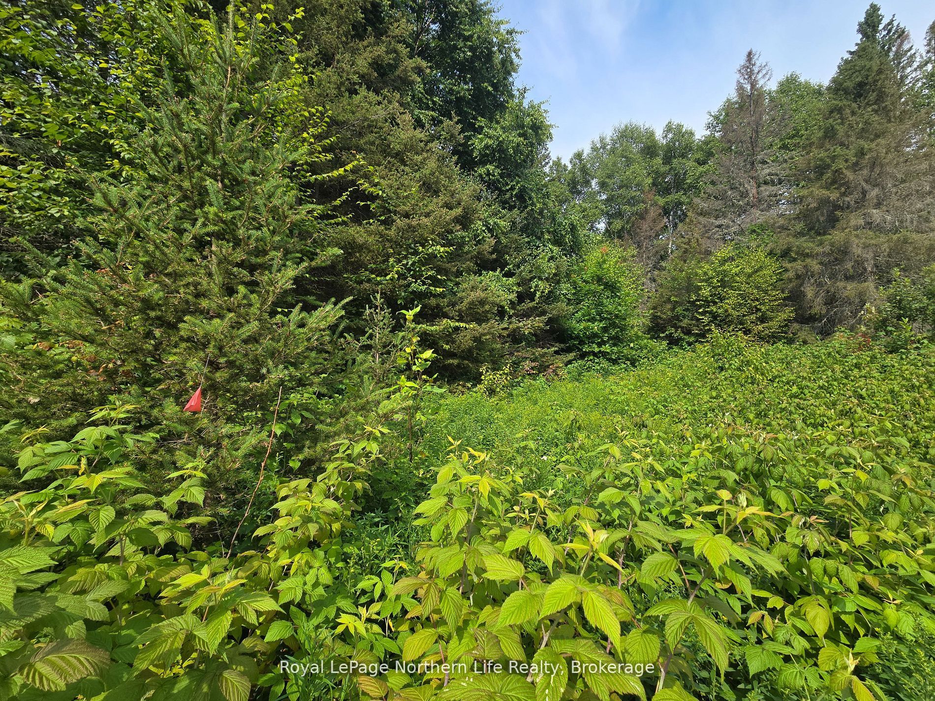 680 Mount Pleasant Road Property Photo 17