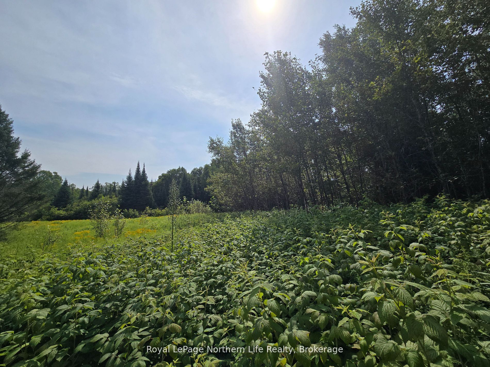 680 Mount Pleasant Road Property Photo 18