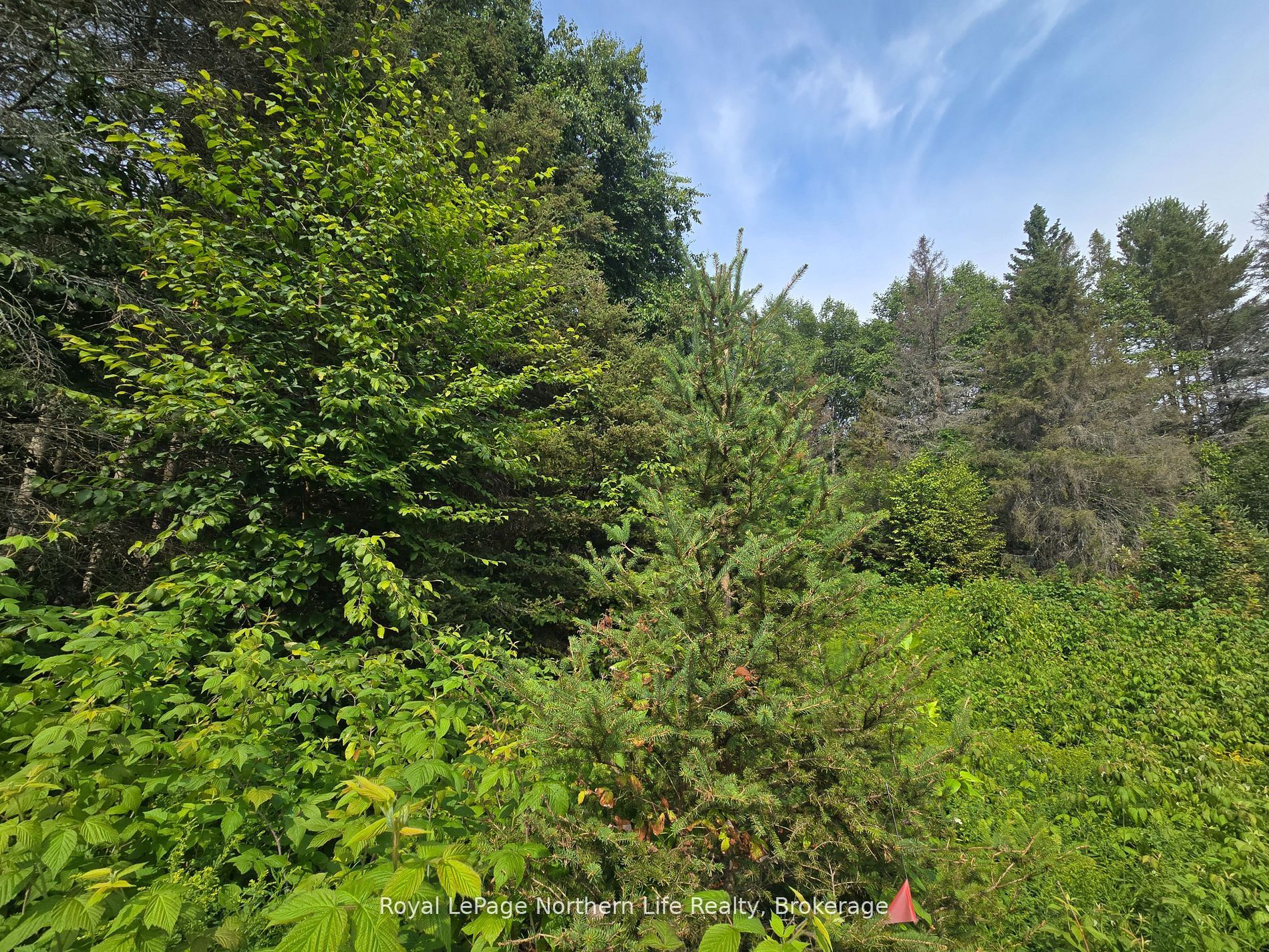 680 Mount Pleasant Road Property Photo 26